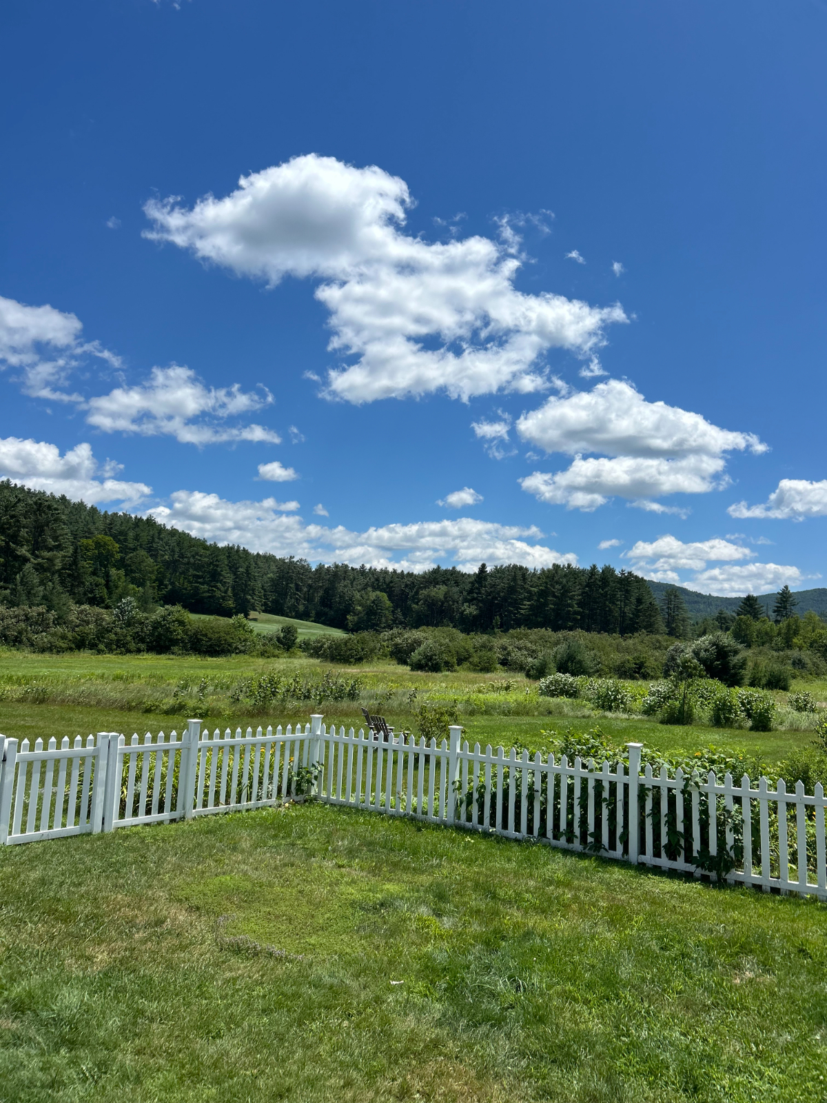 Middlebrook Road Lake House | Near Dartmouth Hitchcock And Lake Fairlee - Photo 8
