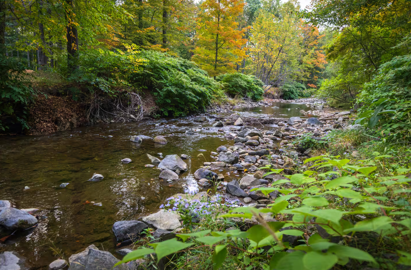 Branch Brook Cottage - Photo 9