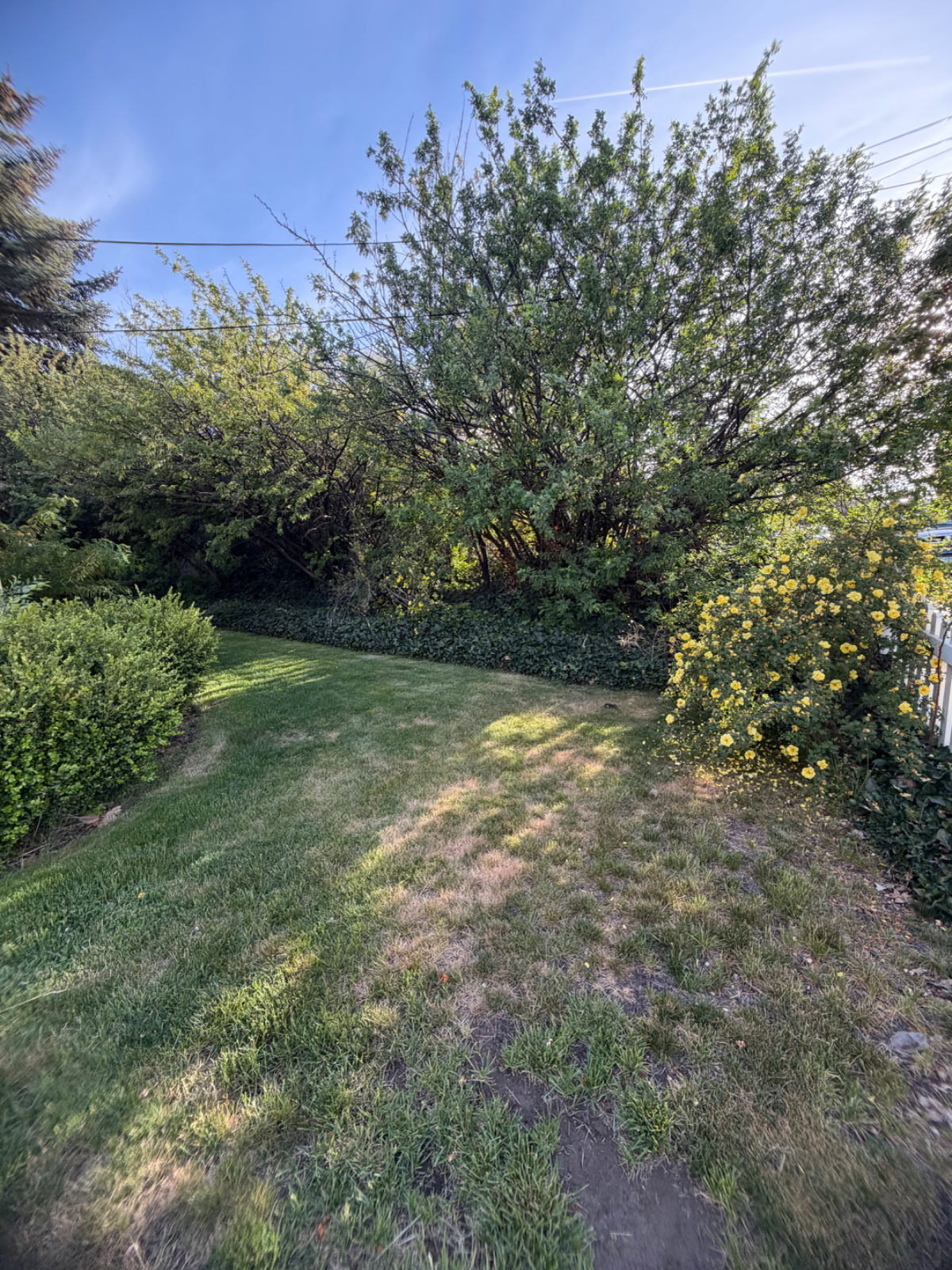 3 bedroom house in downtown Bend - Photo 2