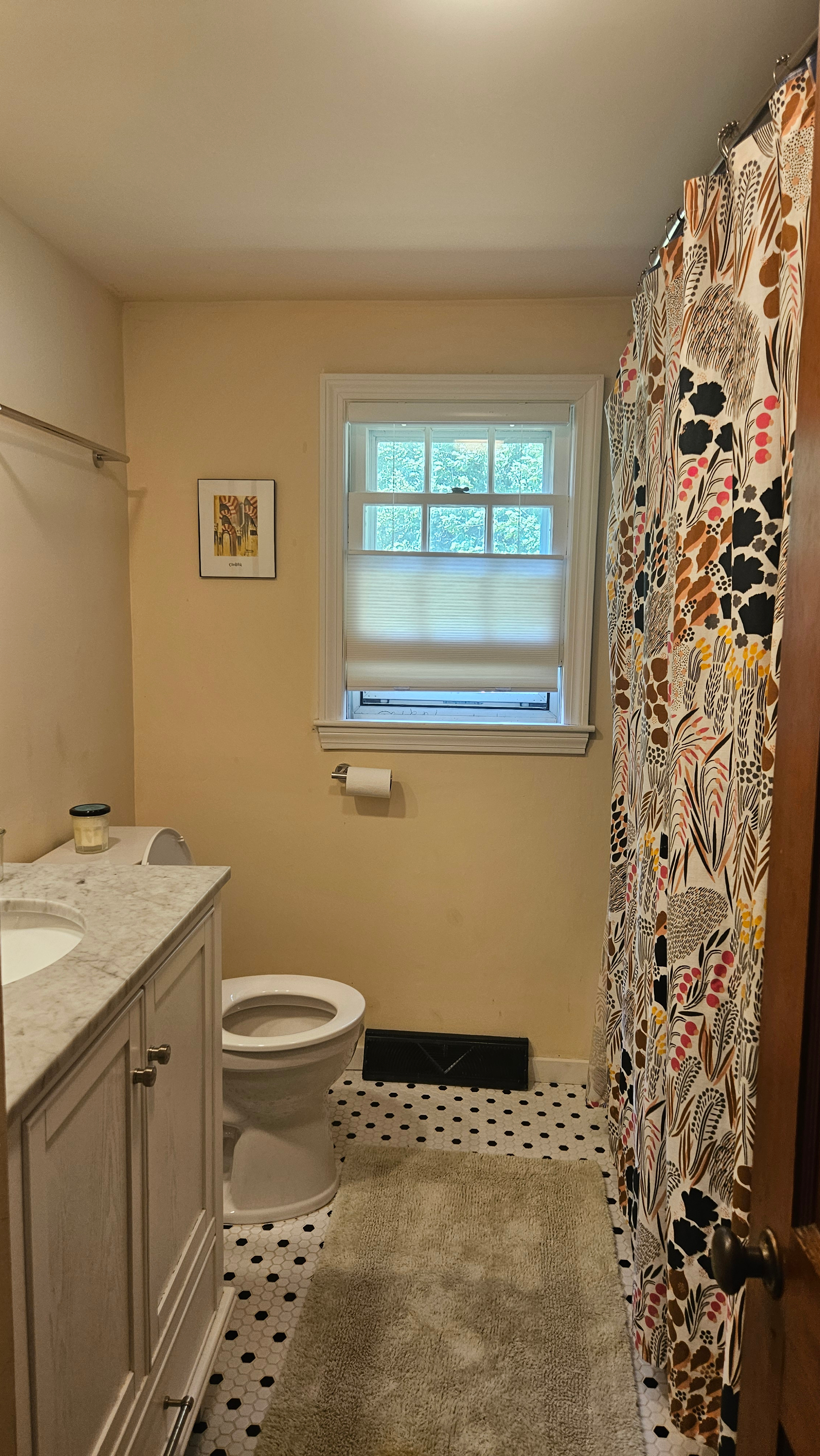 Rural Vermont Retreat - Photo 8