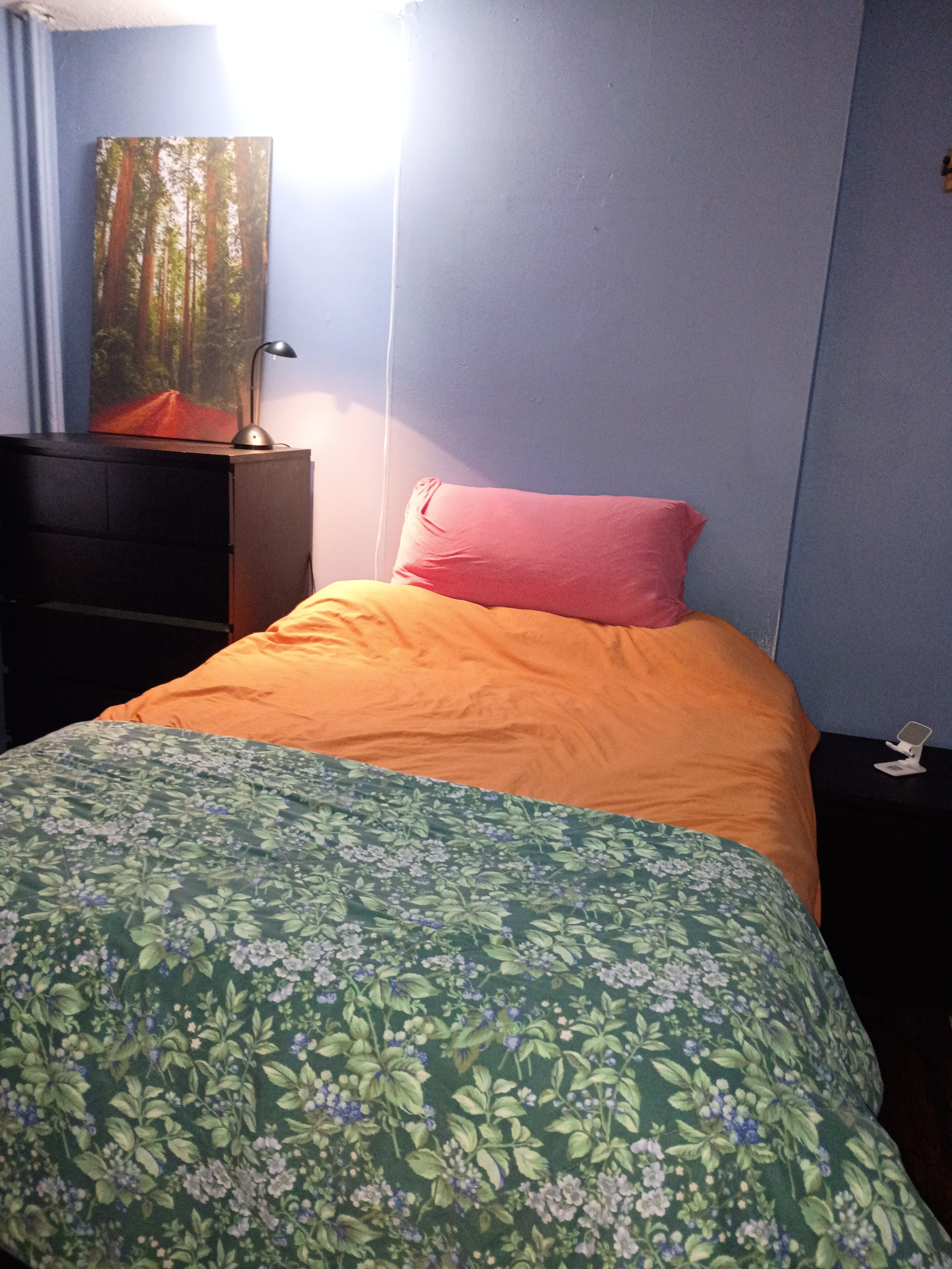 Quiet shared apartment for 1 person in Astoria near midtown - Photo 1
