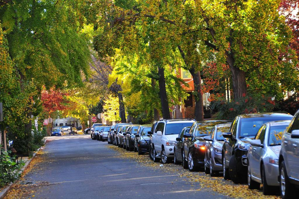 Near Law Firms - Dupont Circle - Photo 10