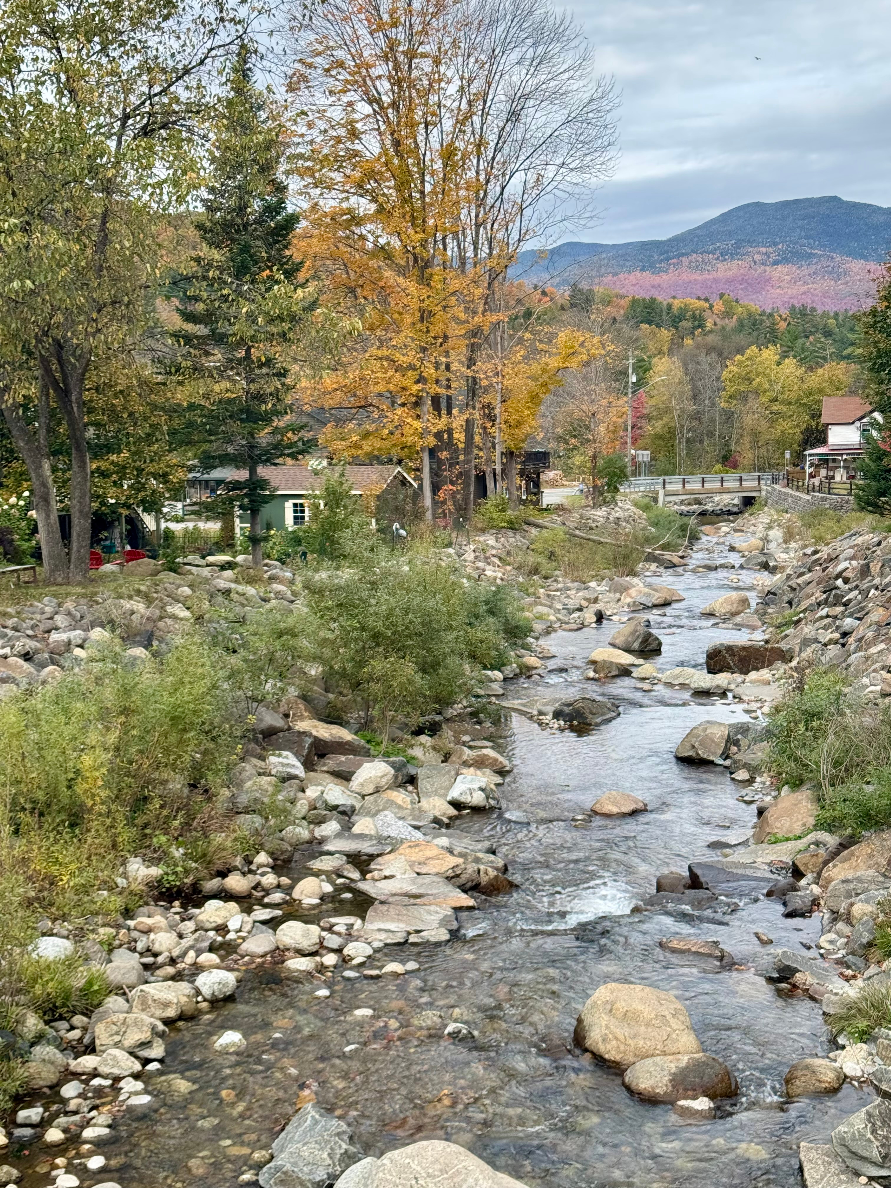3 BR / 2 Bath Short-term or Long-term Rental in Keene NY (near Lake Placid and Whiteface Mountain) - Photo 3
