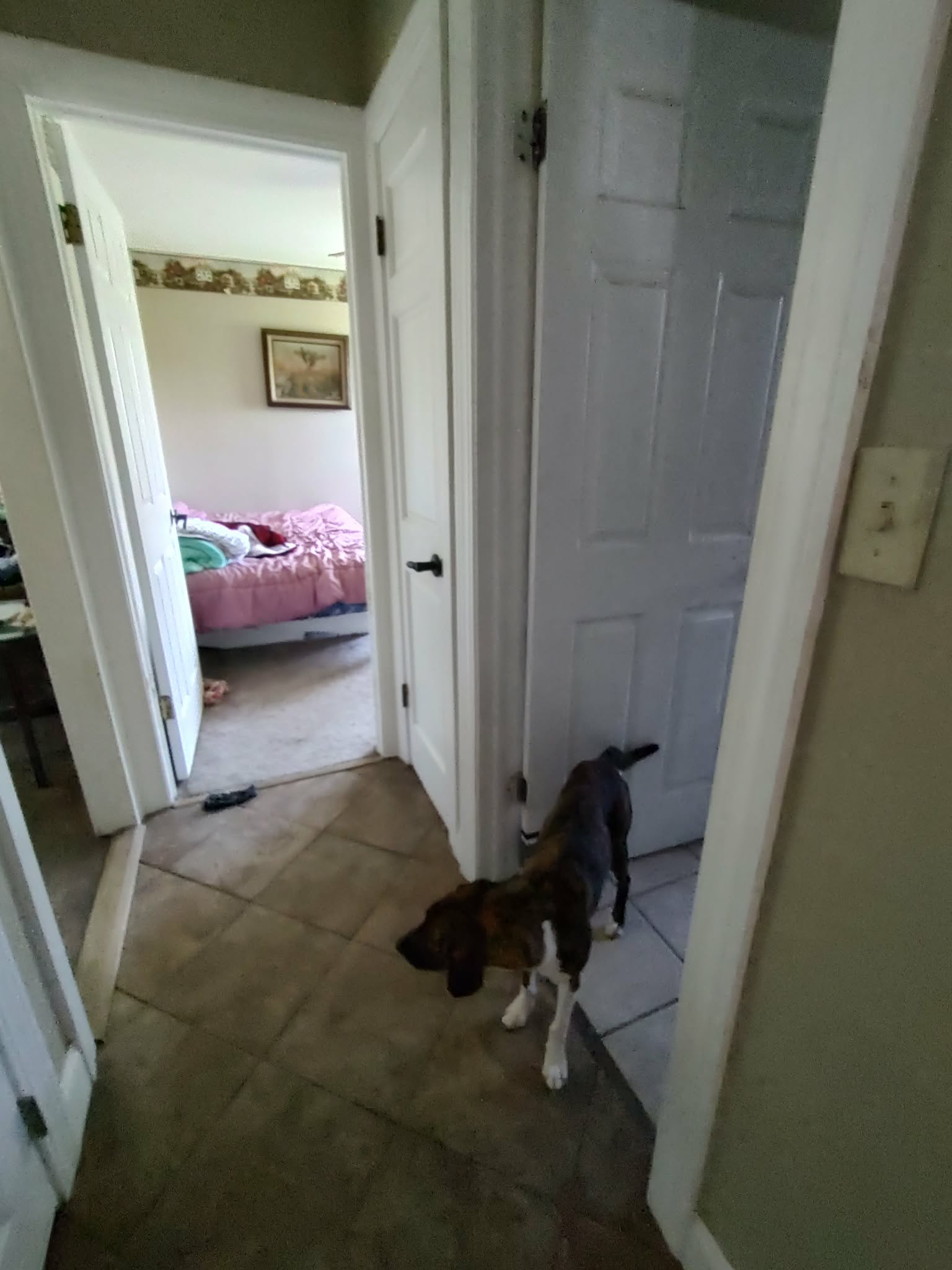 4 Bedroom home on 3 acres - Photo 7
