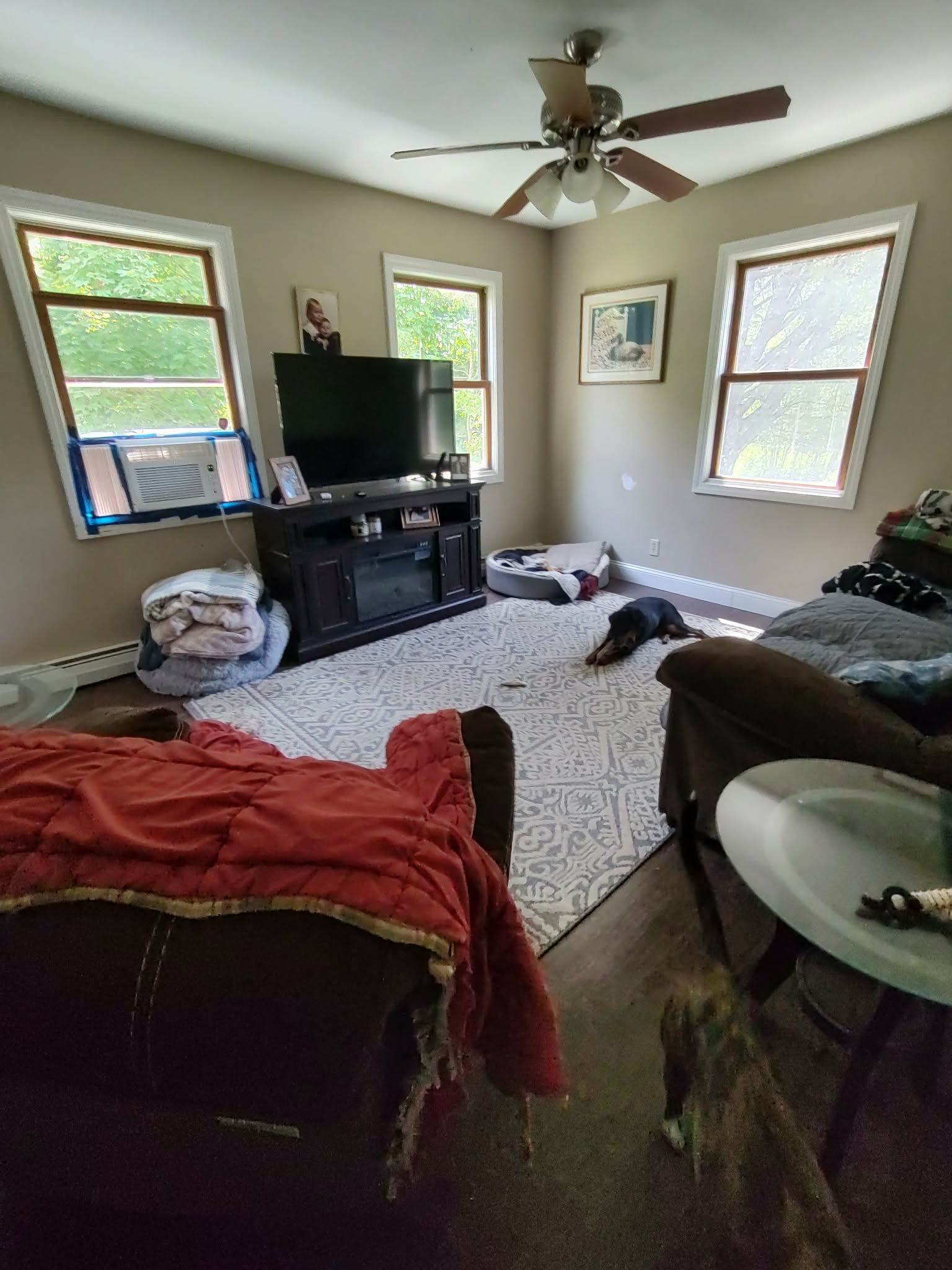 4 Bedroom home on 3 acres - Photo 10