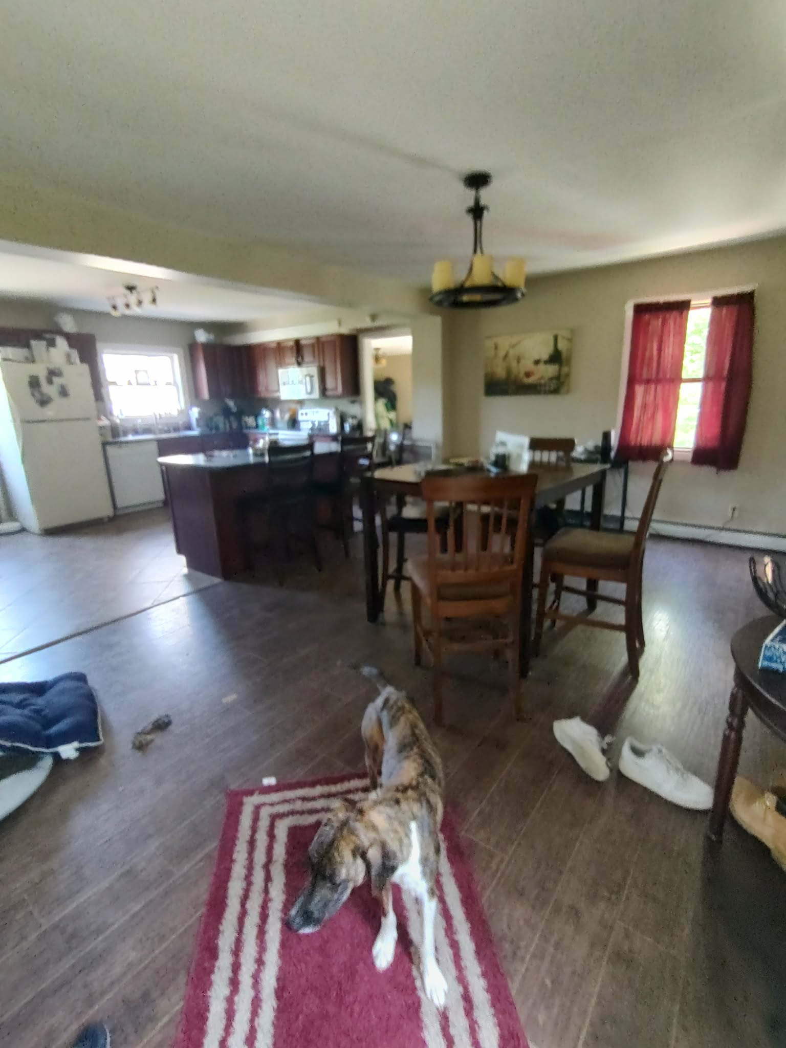 4 Bedroom home on 3 acres - Photo 6