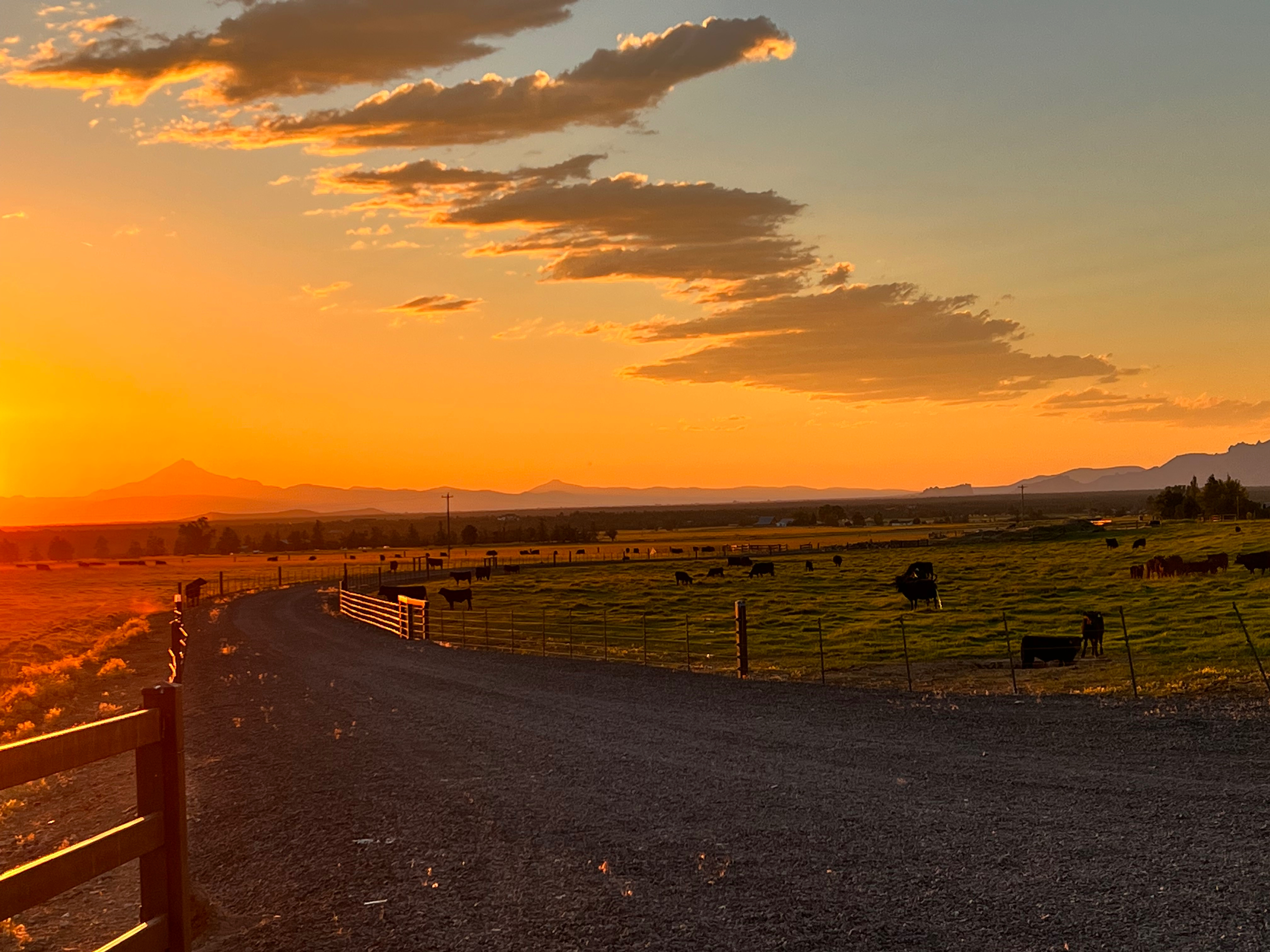 HORSE & DOG FRIENDLY PEACEFUL RANCH LIVING MOUNTAIN VIEWS