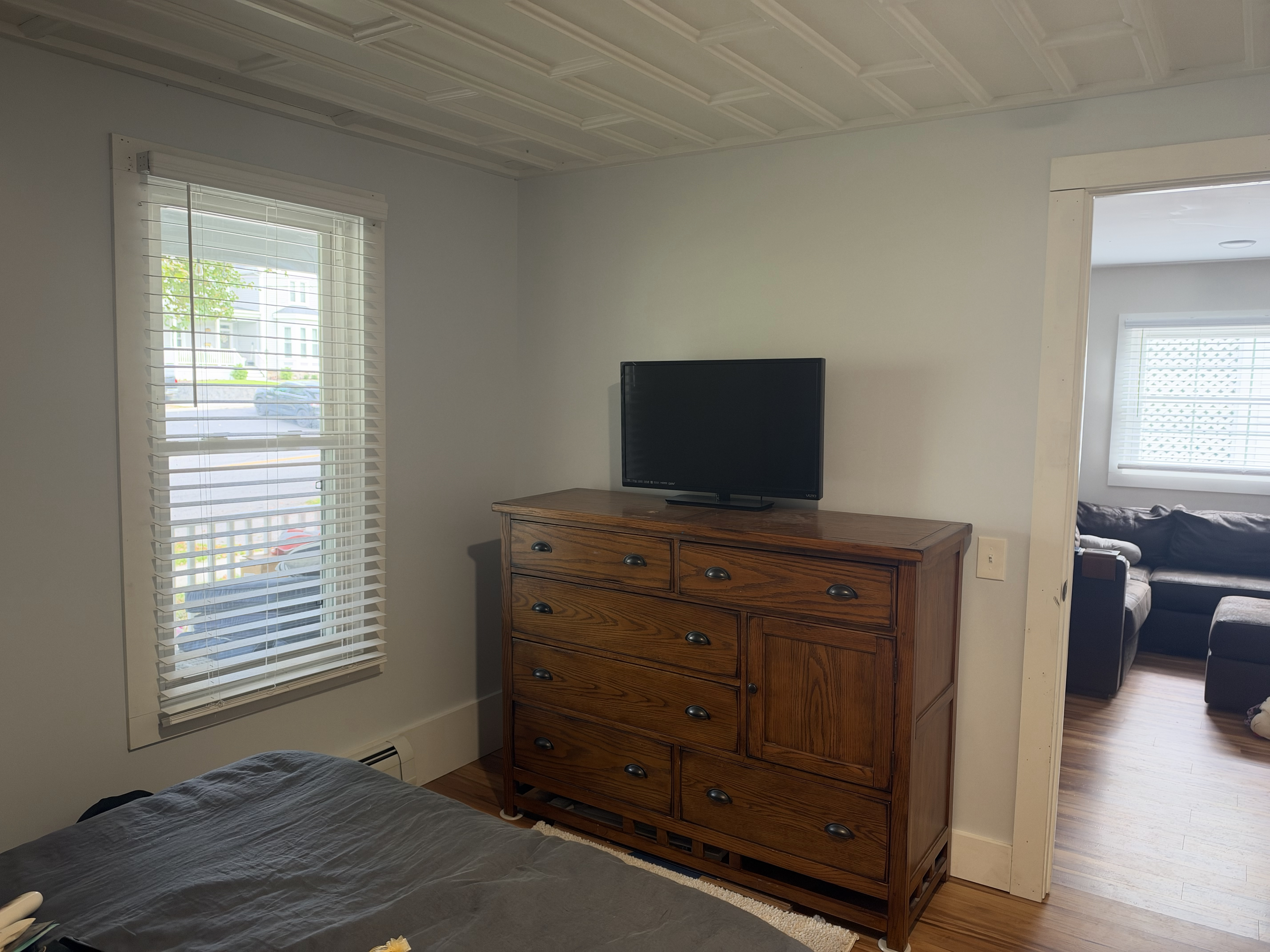 Newly Remodeled 3BR in Historic Geneseo  All Utilities Included! - Photo 8