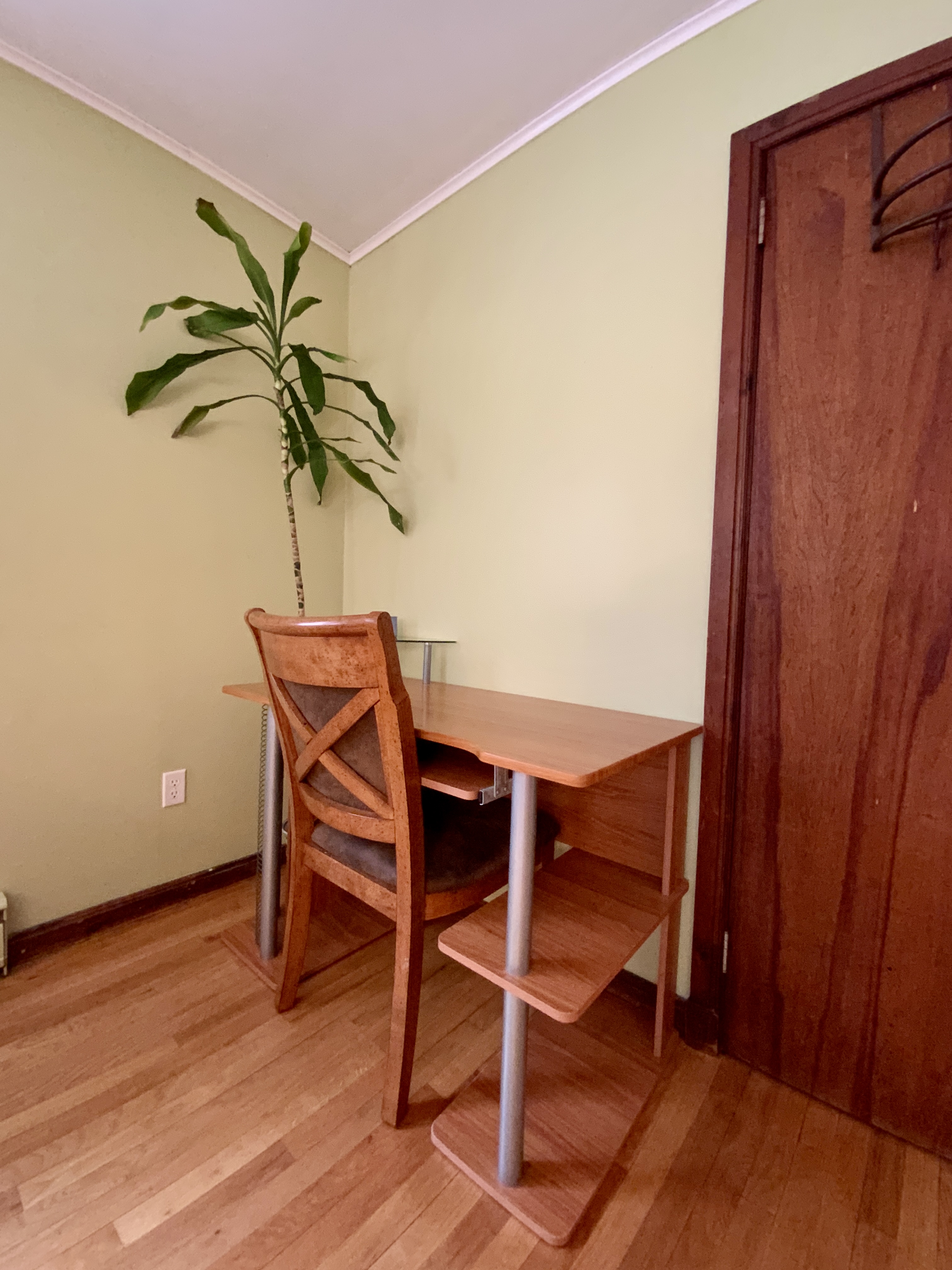 2 BR Home +Great Location +Laundry In-Unit +Full Kitchen: Upstairs Unit in a Two-Family House - Photo 12
