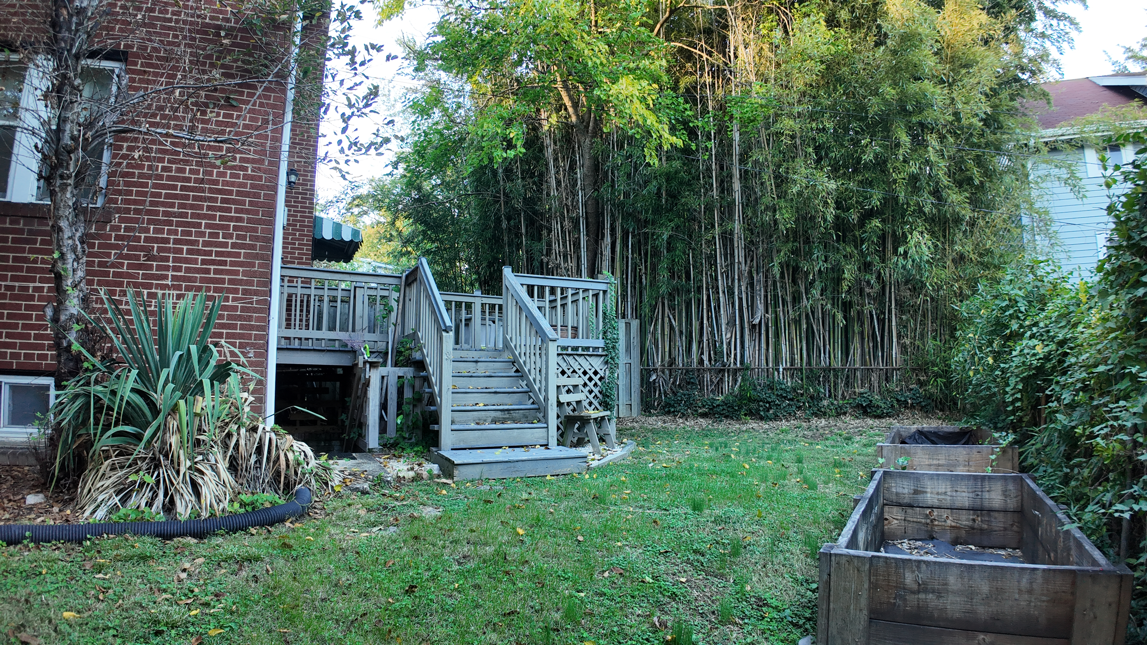 The Comforts of Home, Steps from Takoma's Coffee, Culture, Dining, and Metro - Photo 4