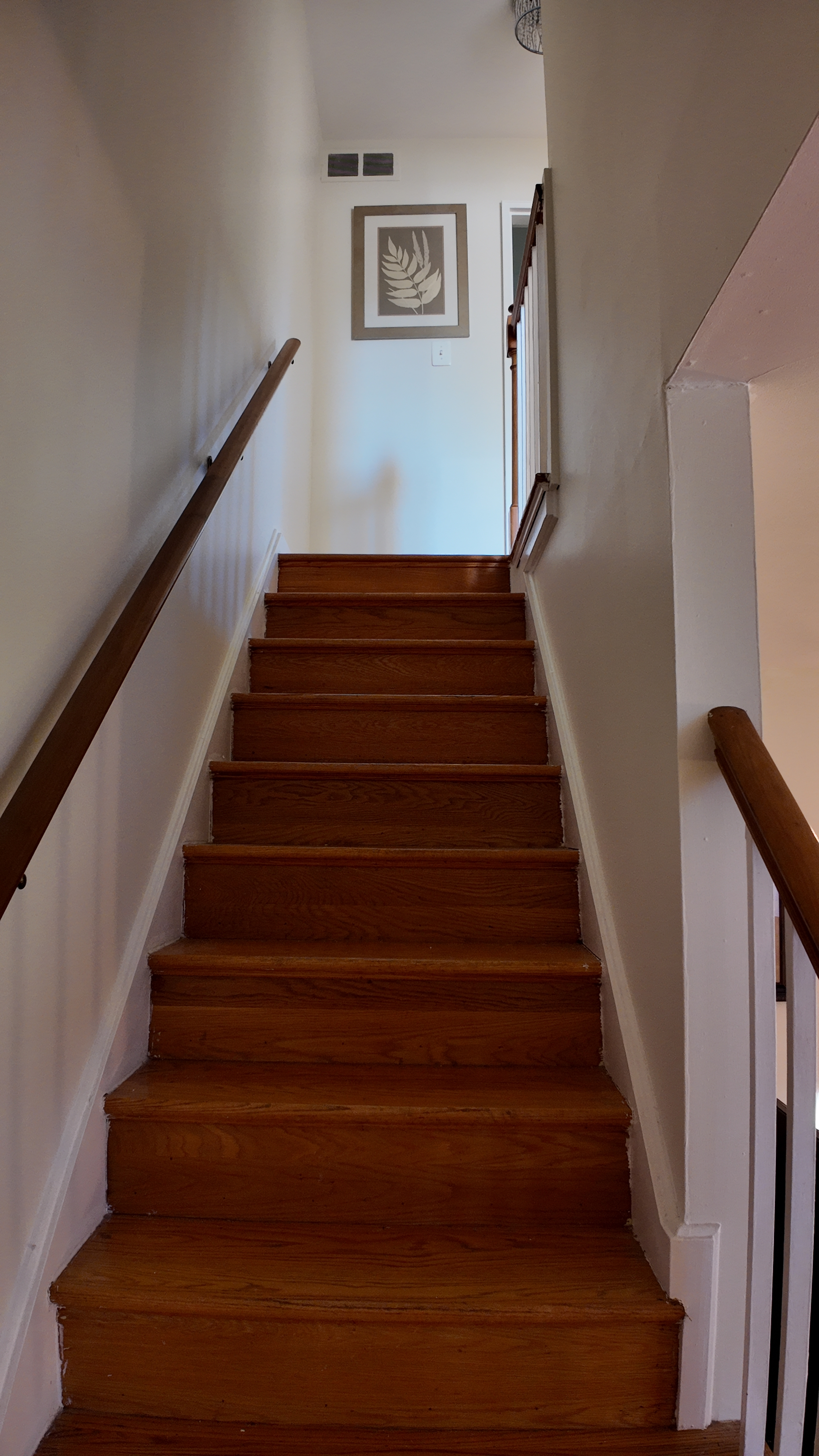 The Comforts of Home, Steps from Takoma's Coffee, Culture, Dining, and Metro - Photo 12