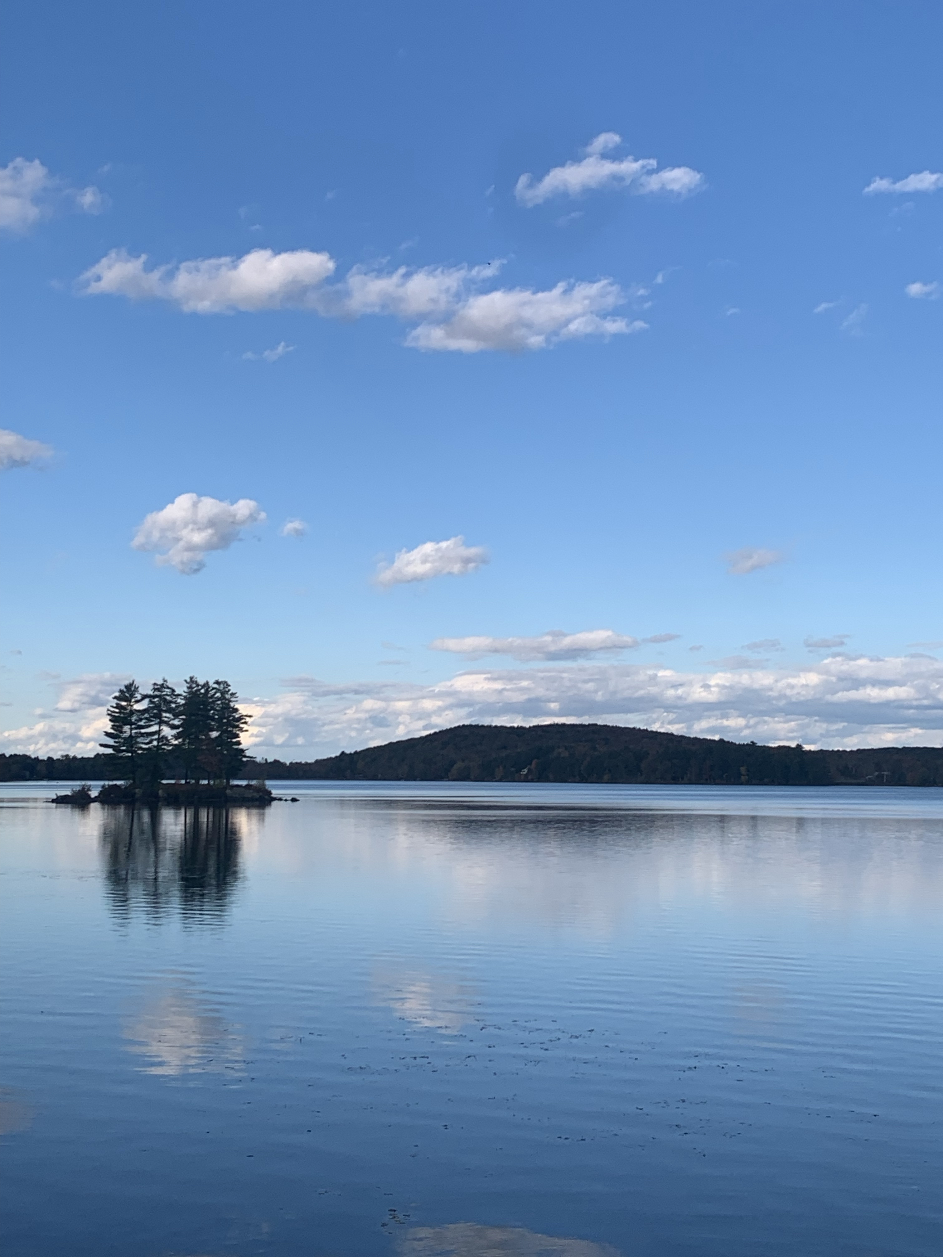 Retreat Living on Fairfield Pond - Photo 2