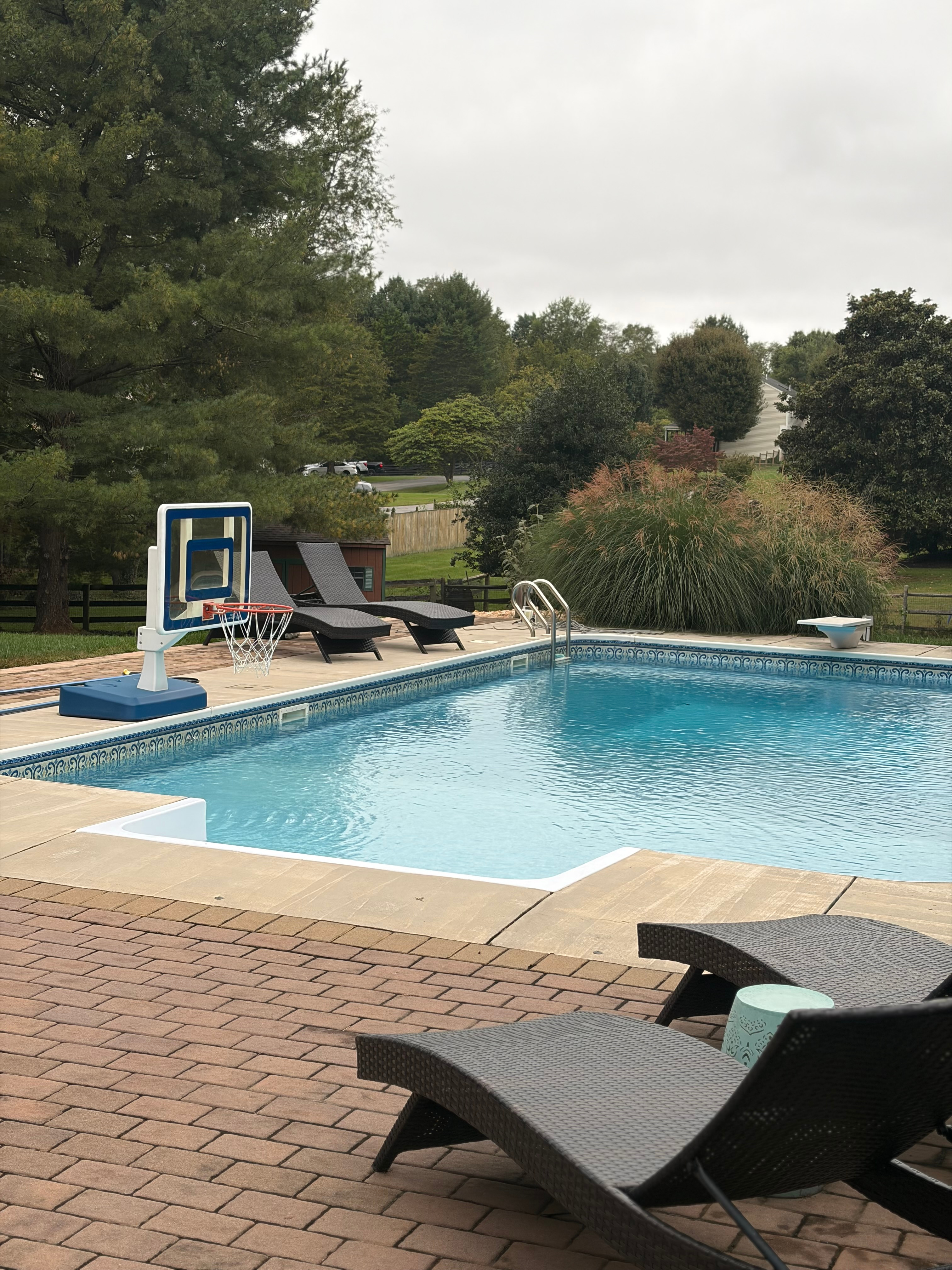 Quite Oasis for Professionals. Private Bed/Bath. Very Nice Walkable Neighborhood. - Photo 2