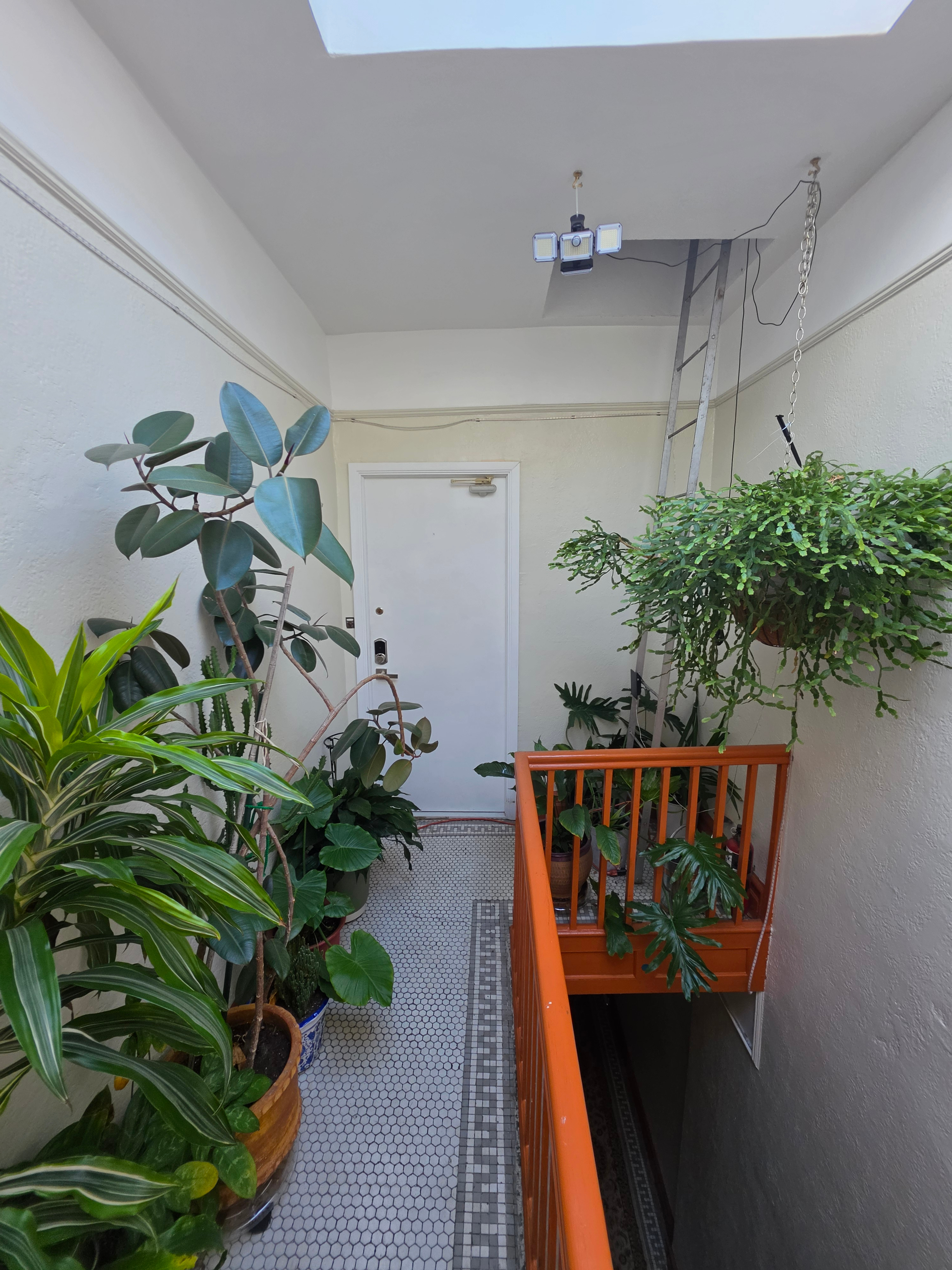 Quiet 2BR Floor-Through Suite | Hydro-Spa Bath & Office | Near Maimonides & NYU Langone - Photo 1