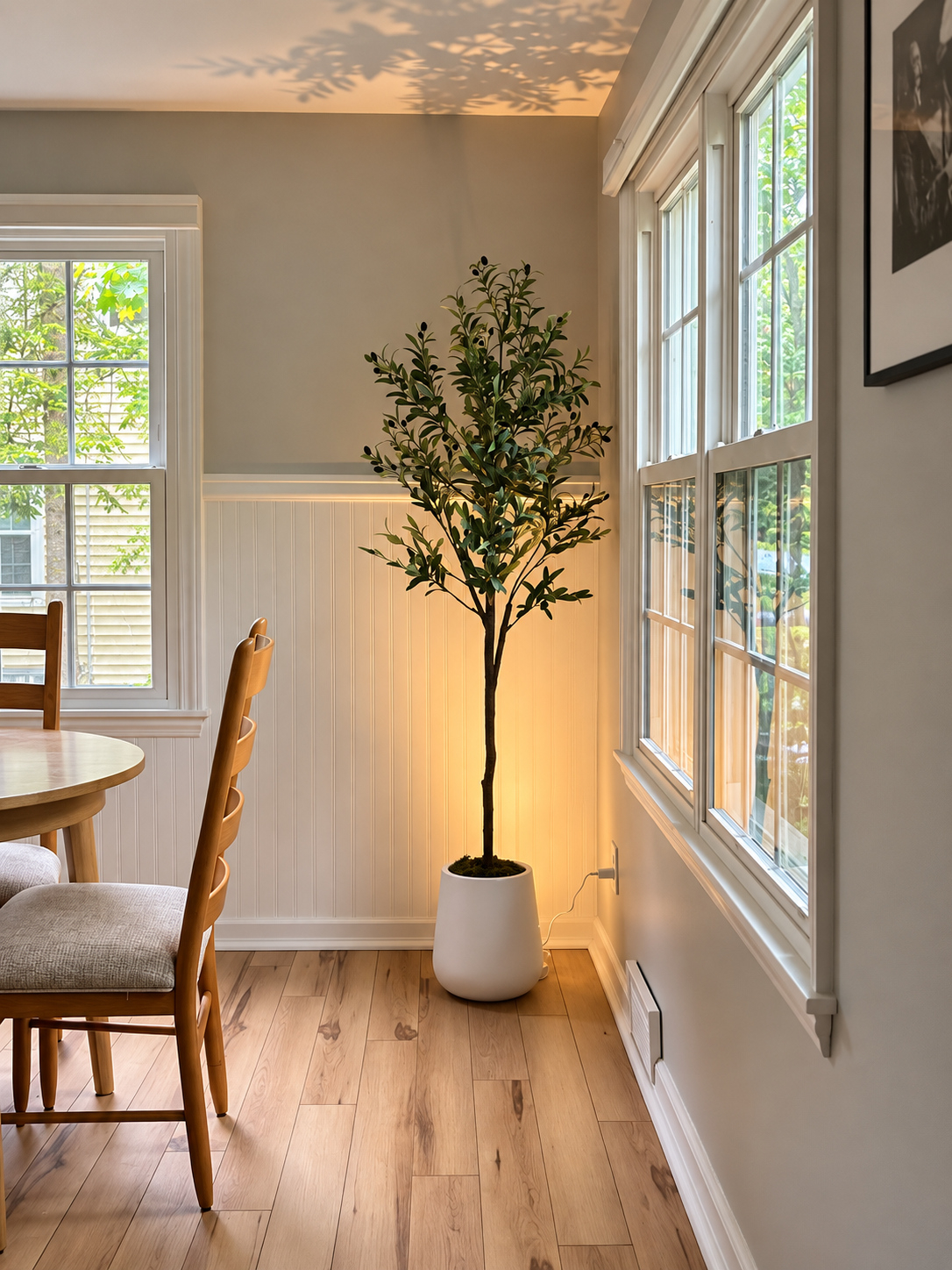 Renovated 3-Bedroom Delmar Home with Private Yard & Laundry - Photo 12