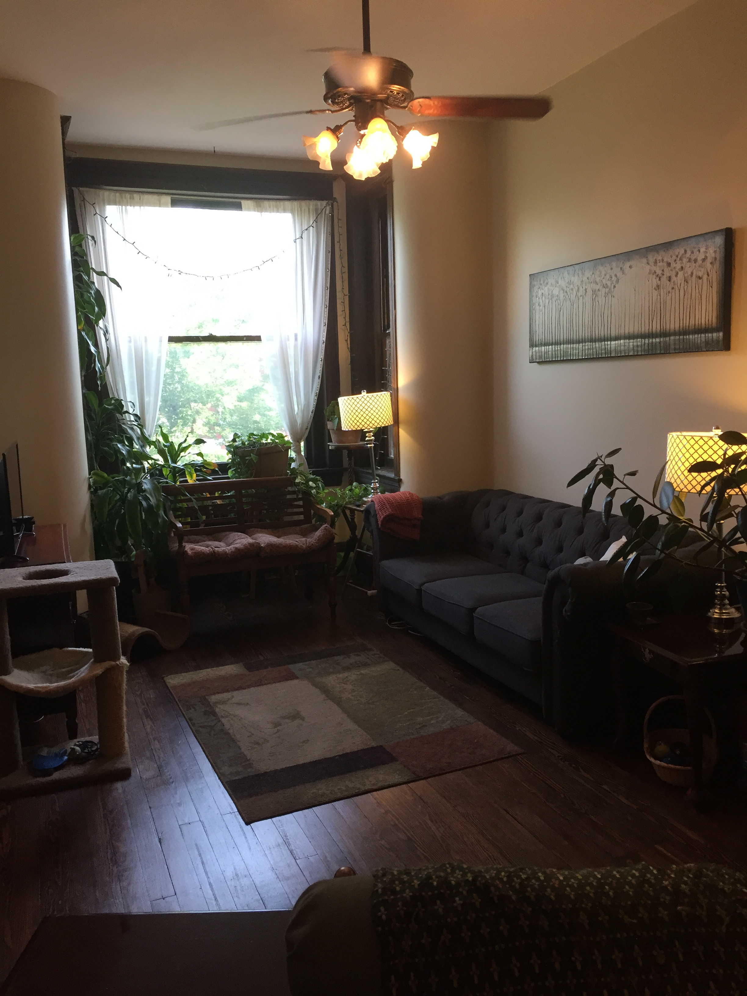 1 BR in Spacious & Charming Rowhouse - Privacy, Maturity, & Clean! - Photo 3