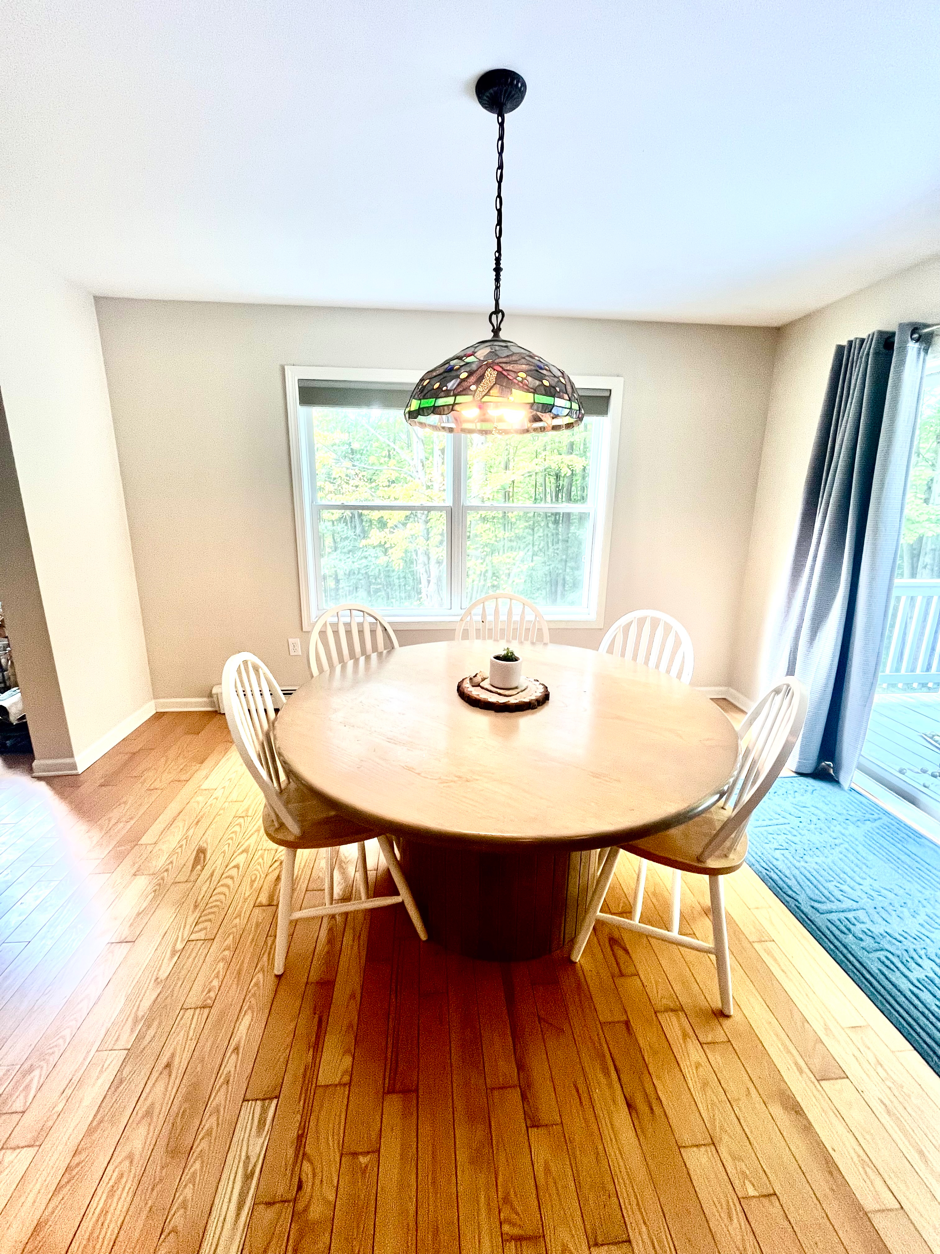 5 acres Wooded Retreat close to Cornell, Cayuga Medical and Ithaca College - Photo 3