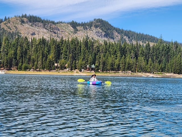 Quiet work retreat surrounded by Ponderosa Pines. Full Kitchen, laundry, hot tub, all amenities. - Photo 4