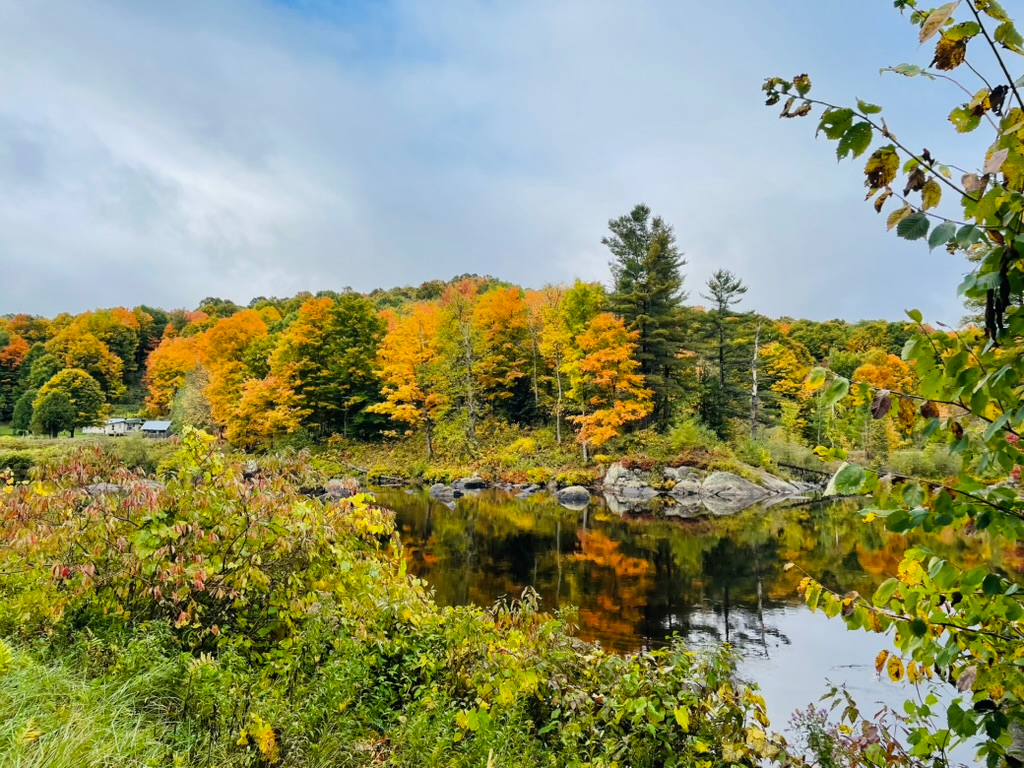 Grasse River Cabin - Photo 2