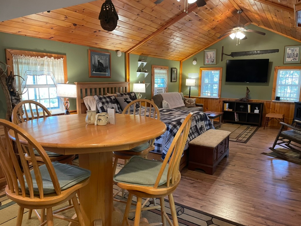 Grasse River Cabin - Photo 10