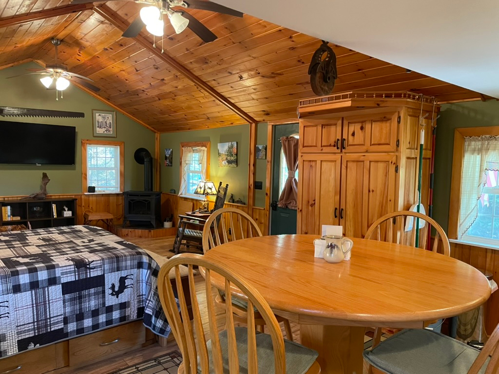 Grasse River Cabin - Photo 11