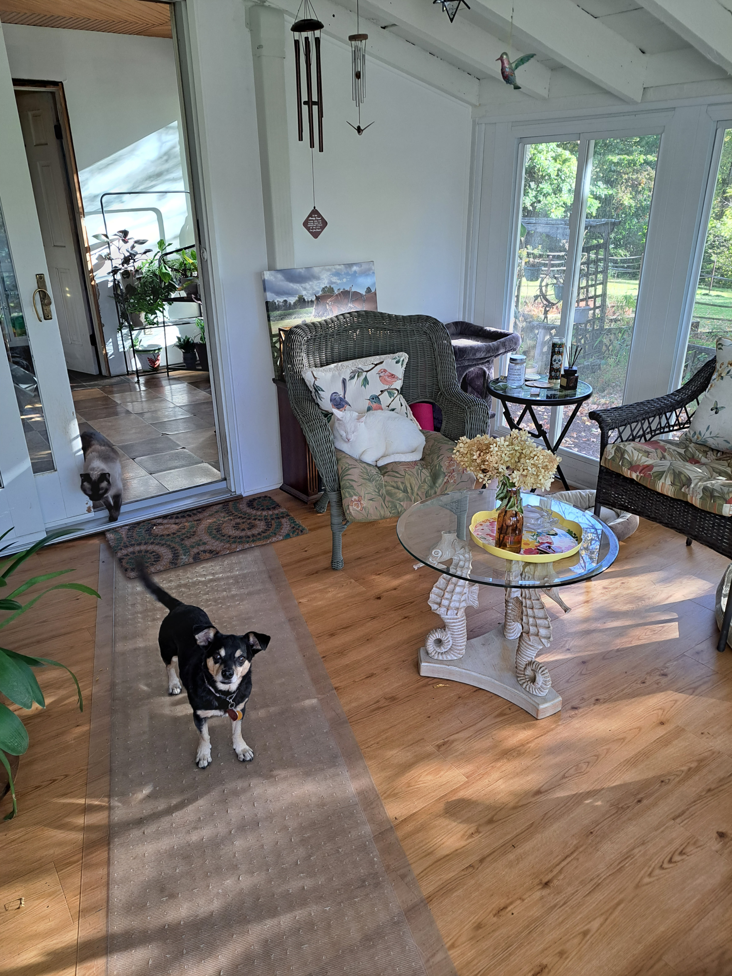 Older country home - Photo 4
