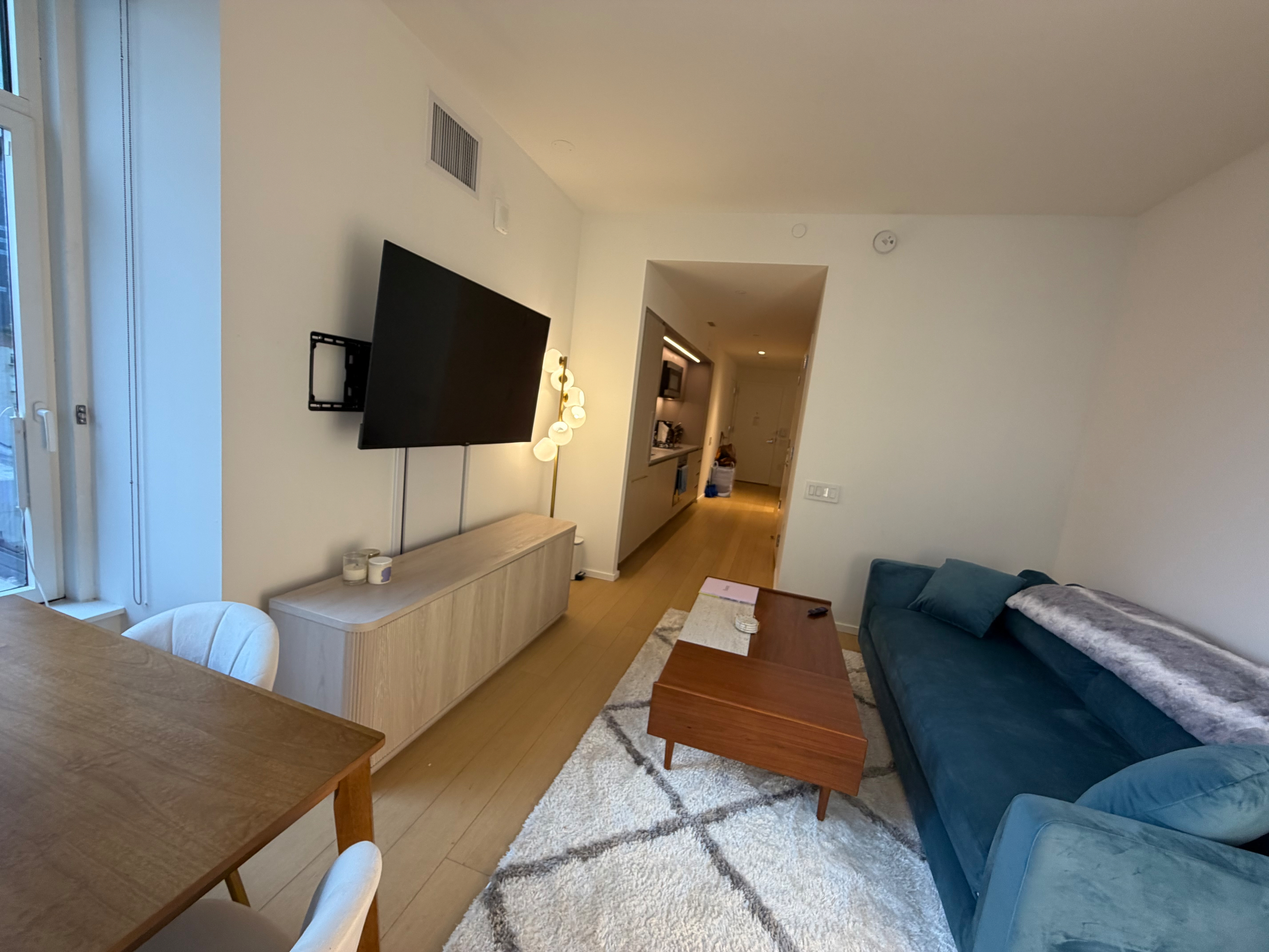 Luxury FiDi Studio for 6-7 month sublet - Photo 3