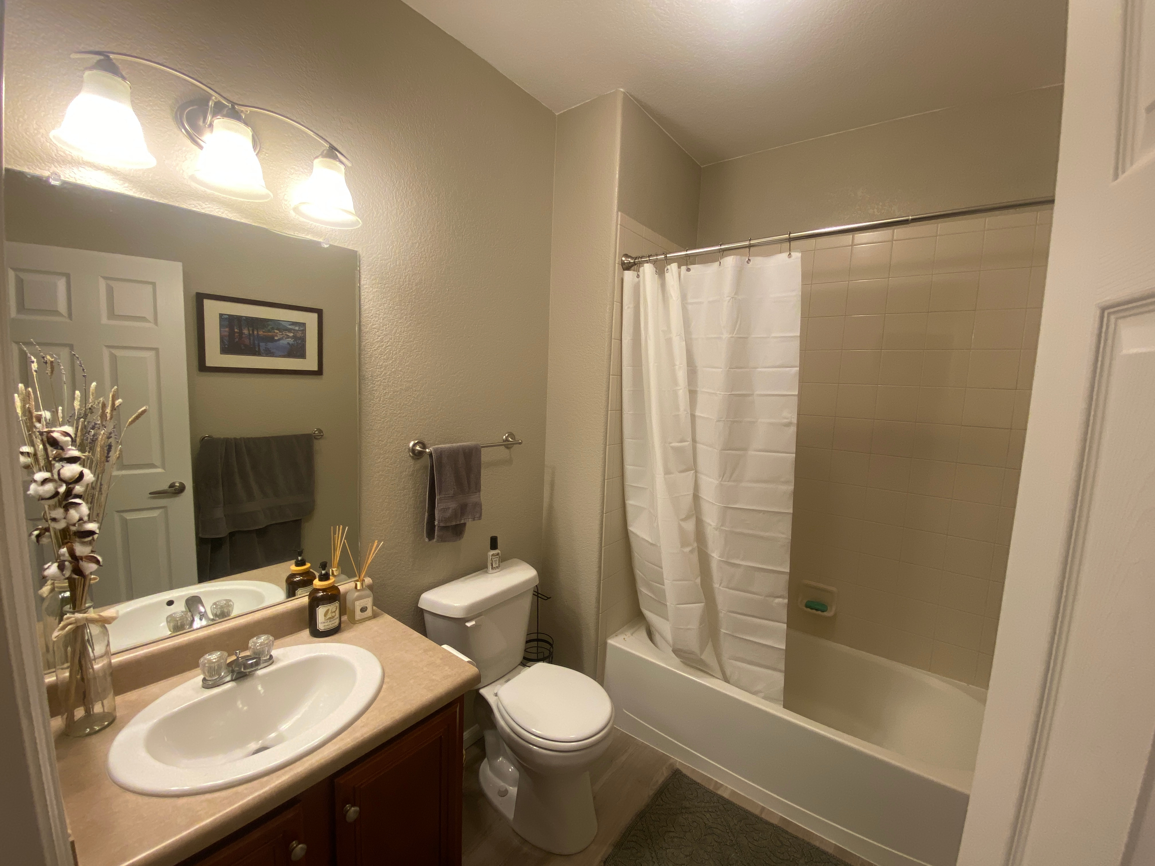 Private Room + Bath, 4 Min to Centennial Hospital, Dogs OK - Photo 5