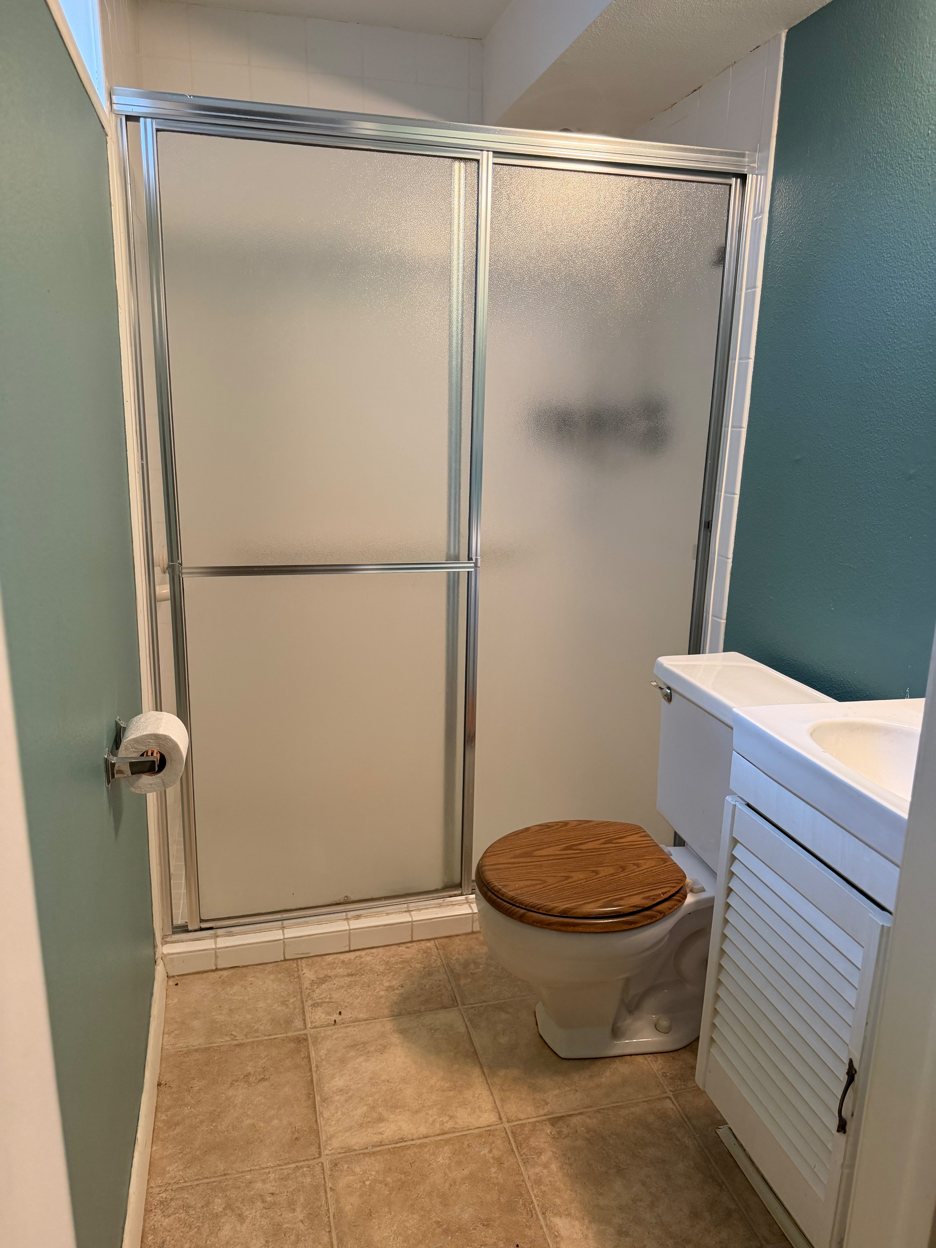 Entire lower level - Bedroom, living, kitchenette and bathroom! - Photo 6