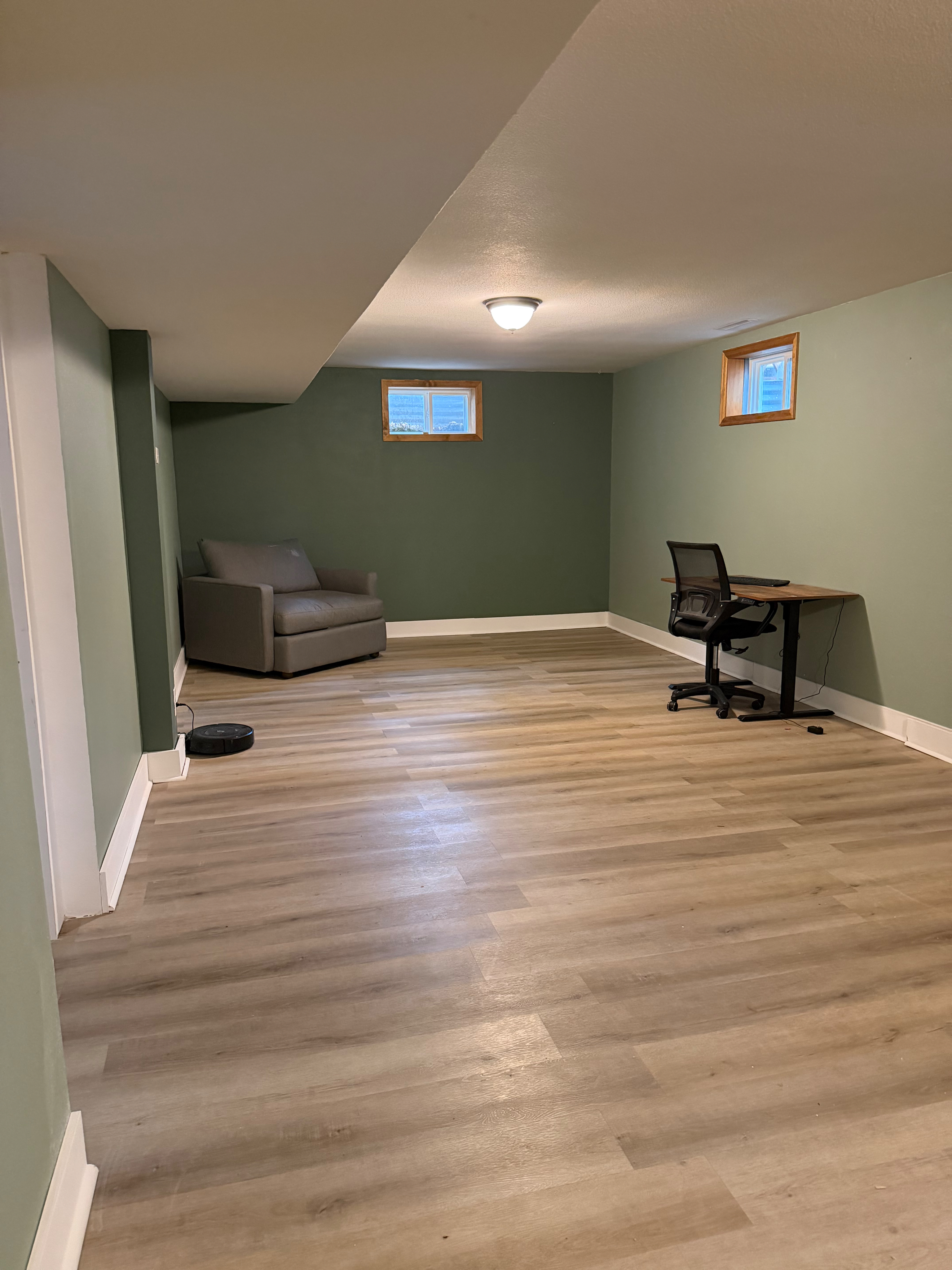 Entire lower level - Bedroom, living, kitchenette and bathroom! - Photo 4