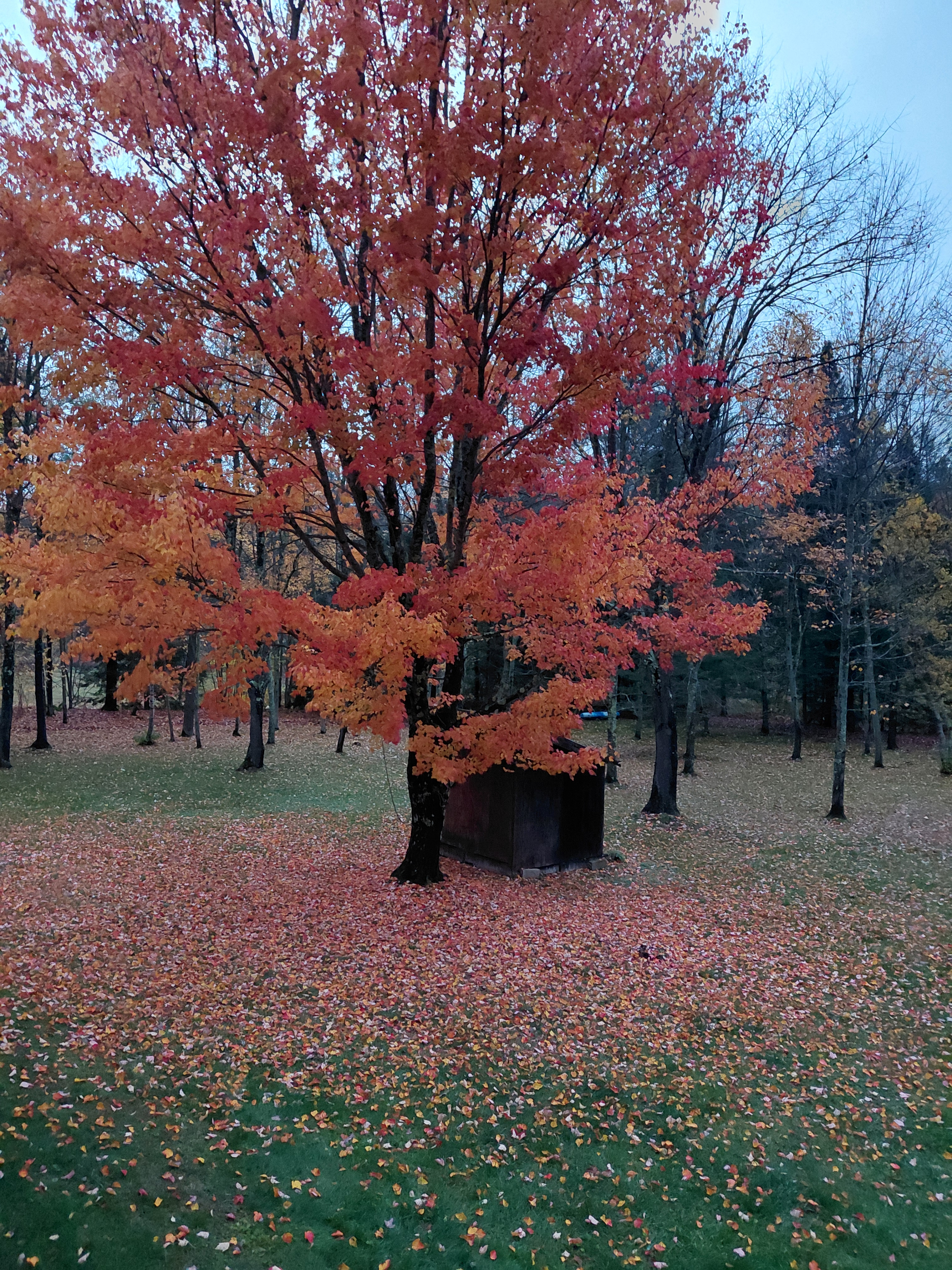 A space to relax and unwind... - Photo 10