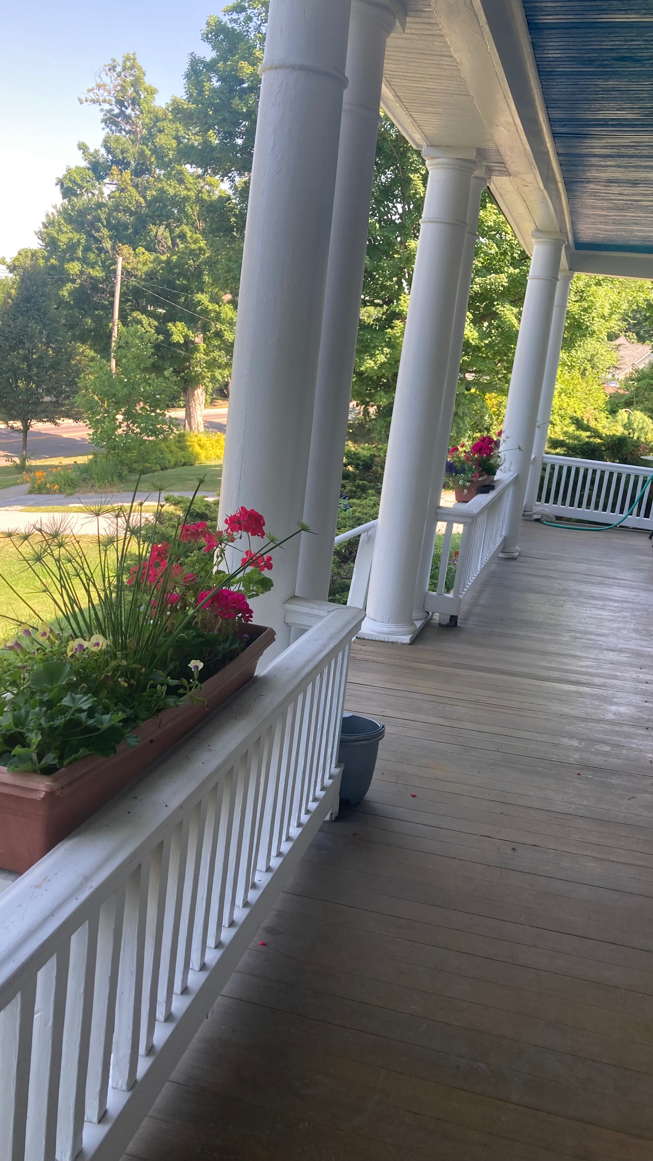 Special place to call home - Photo 3