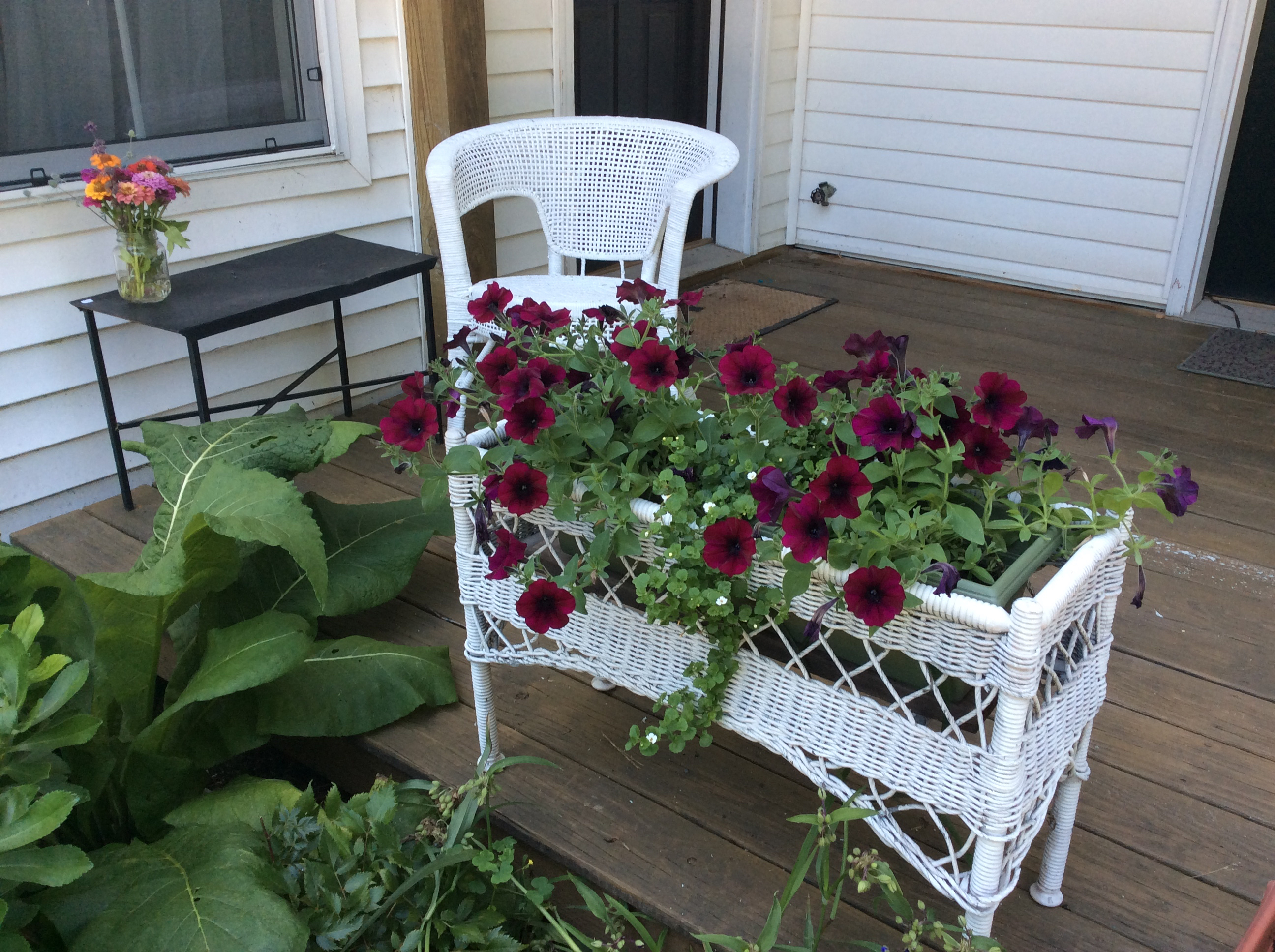 Special place to call home - Photo 10