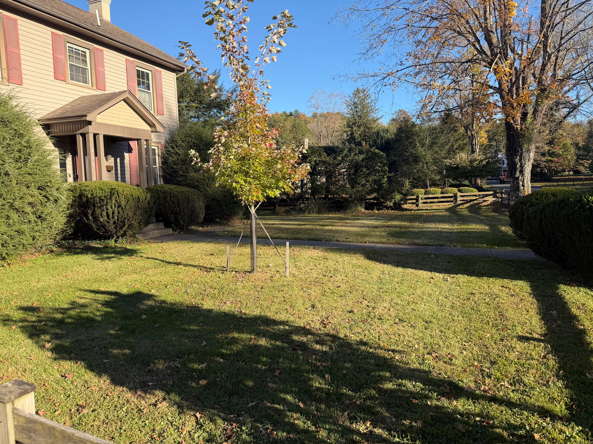 Lewisburg Art House ft. Workspace, Wellness Room, Easy Walk to Downtown - Photo 5