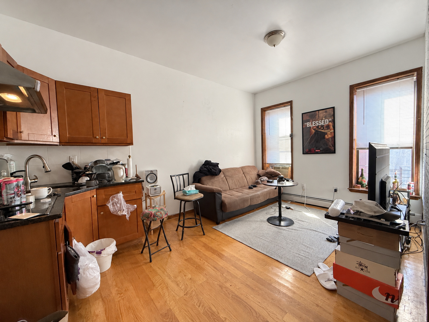 Sunny Bed-Stuy 1BR | Furnished or Unfurnished | G & A/C Access - Photo 1