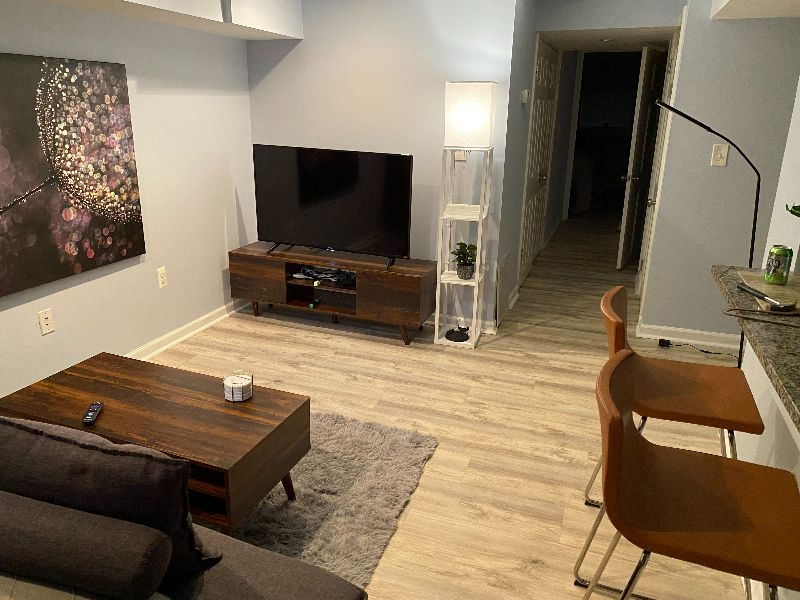 2022 4726 St NW - Renovated BSM Apt w/separate HVAC, unit, W/D - Photo 2