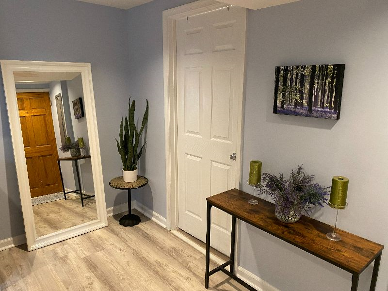 2022 4726 St NW - Renovated BSM Apt w/separate HVAC, unit, W/D - Photo 7