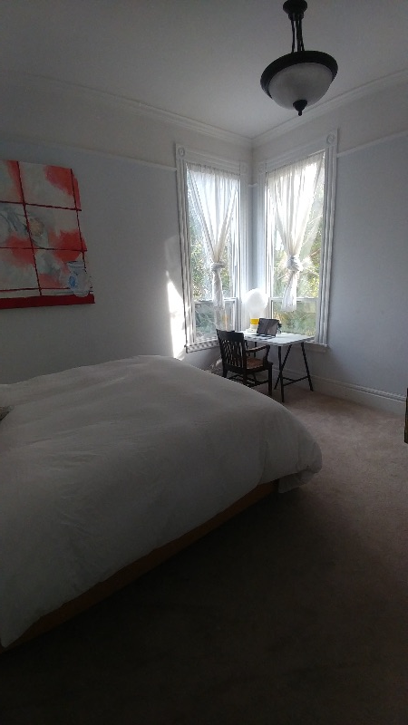 Spacious room for one person in San Francisco Victorian - Photo 6