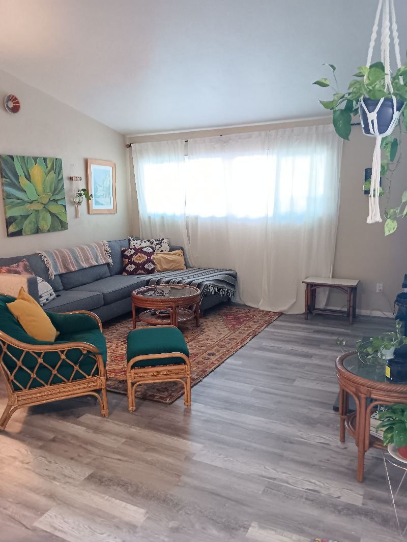 Friendly Professionals Wanted to share our family Home - Photo 5