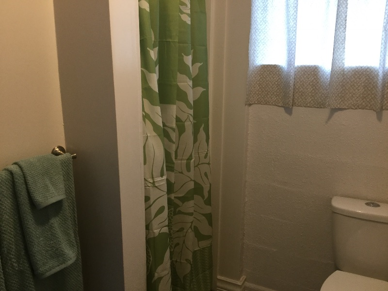 Downstairs Unit - Photo 5