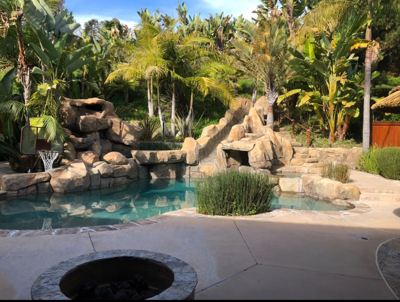 Tropical Treasure - Photo 1