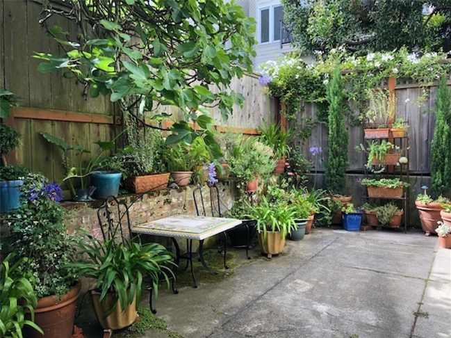 Garden Apartment - Pac. Heights - Photo 1