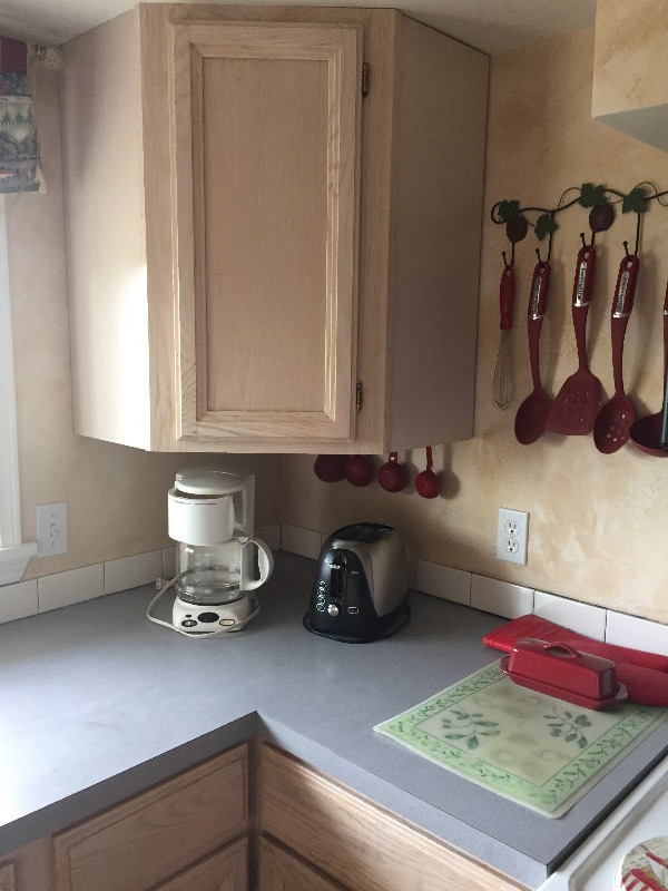 Pet free Private Mountain View 1 BR Apt. - Photo 4