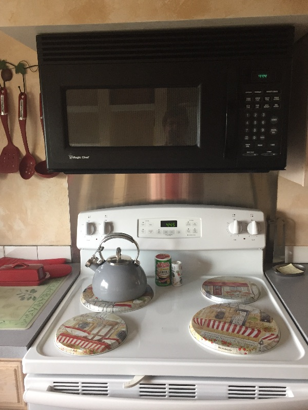 Pet free Private Mountain View 1 BR Apt. - Photo 5