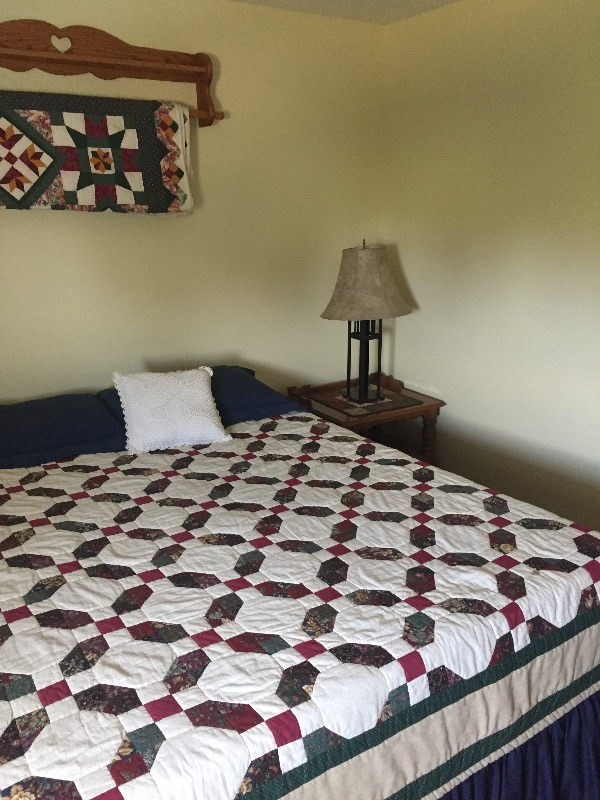 Pet free Private Mountain View 1 BR Apt. - Photo 9