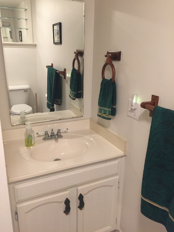 Pet free Private Mountain View 1 BR Apt. - Photo 10