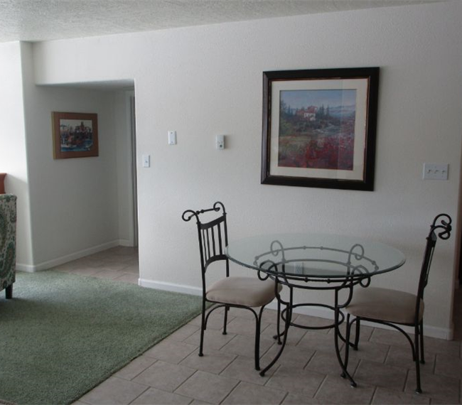 Sunny Peaceful Property with fireplace on 5 Acres - 15 minutes from Hospitals and Airport - Photo 3
