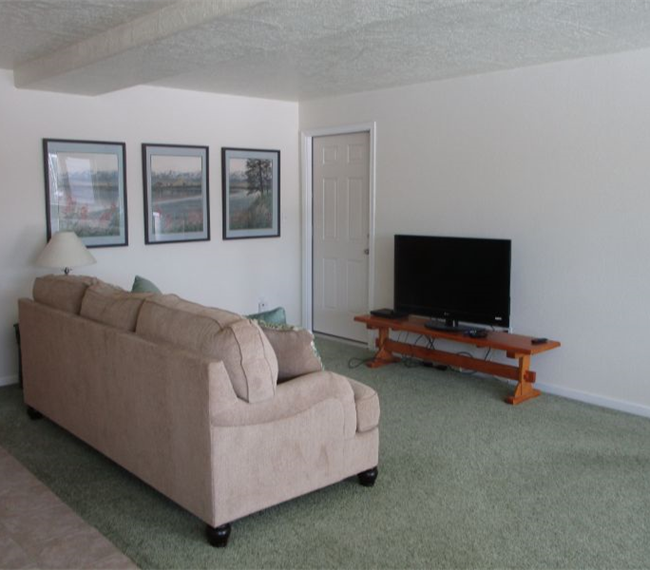 Sunny Peaceful Property with fireplace on 5 Acres - 15 minutes from Hospitals and Airport - Photo 10