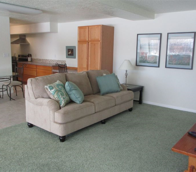 Sunny Peaceful Property with fireplace on 5 Acres - 15 minutes from Hospitals and Airport - Photo 11