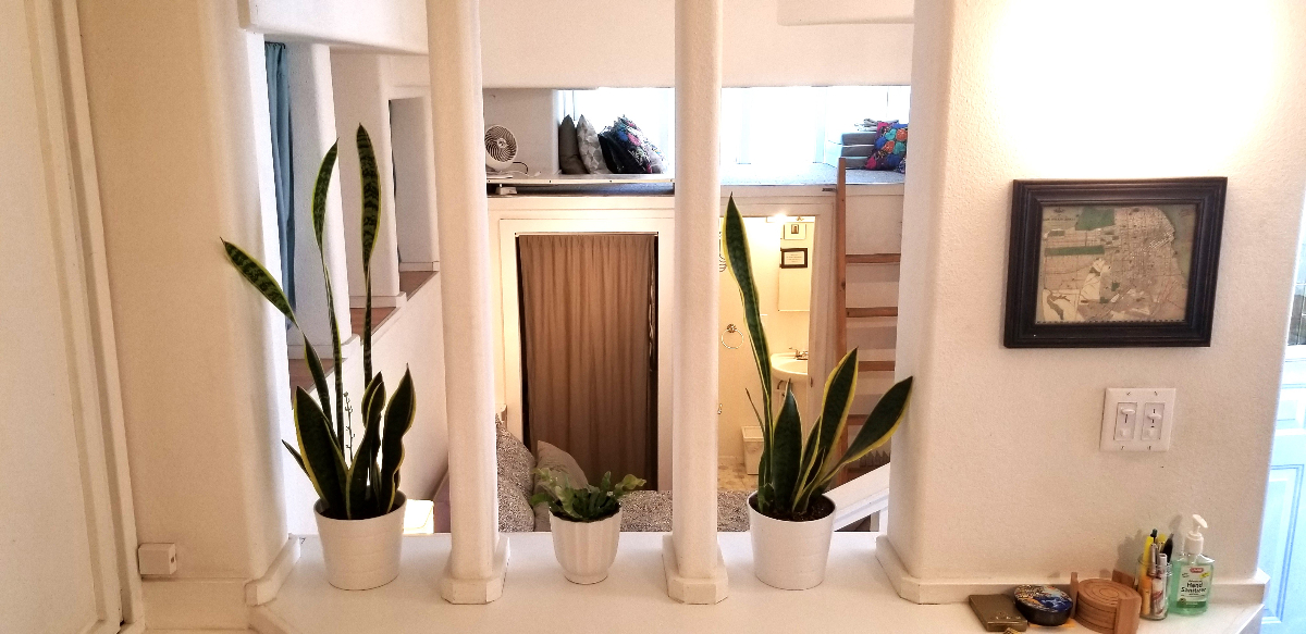 Cozy Bernal Heights Studio -Top Location- - Photo 1